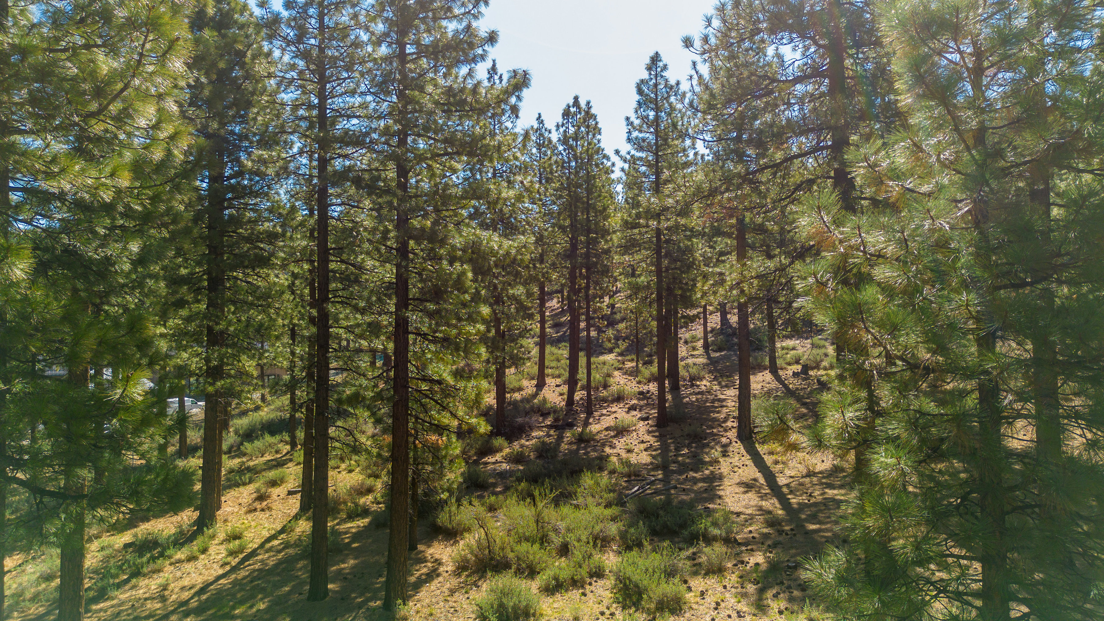  Two Extraordinary Pieces of Land in Clear Creek Tahoe - 物件實景