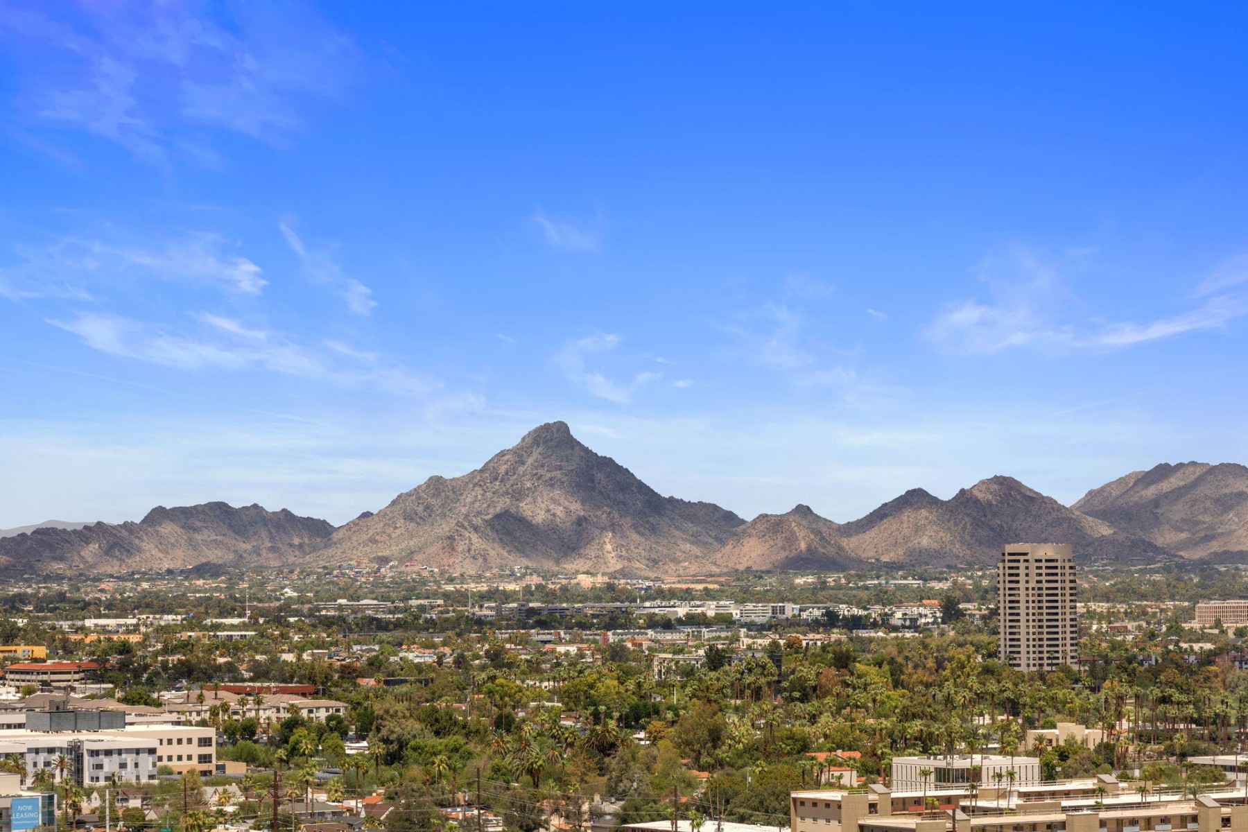  2323 N Central Ave¦Phoenix, AZ - 物件實景