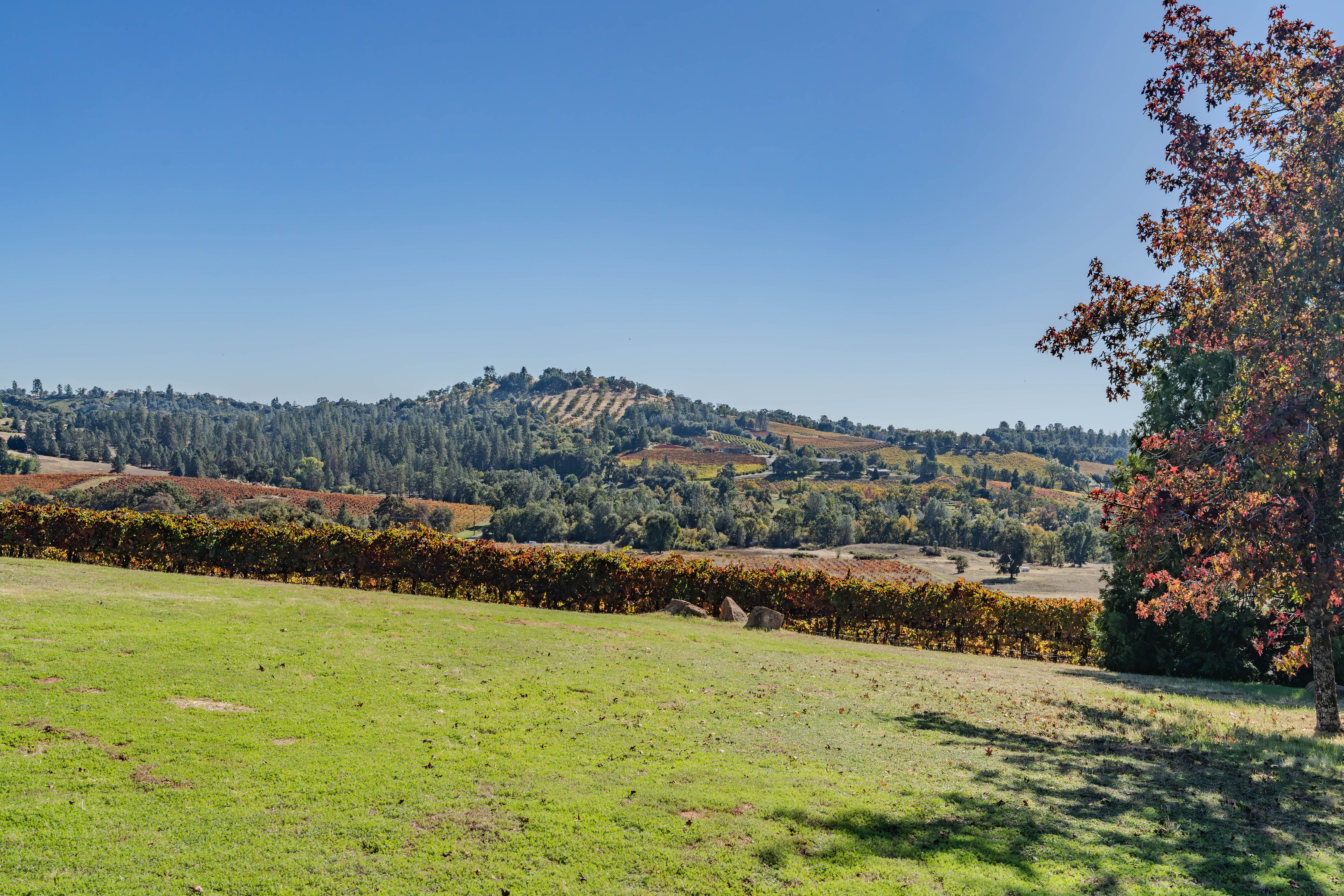  12551 Steiner Road, Plymouth, CA 95669 - 物件實景