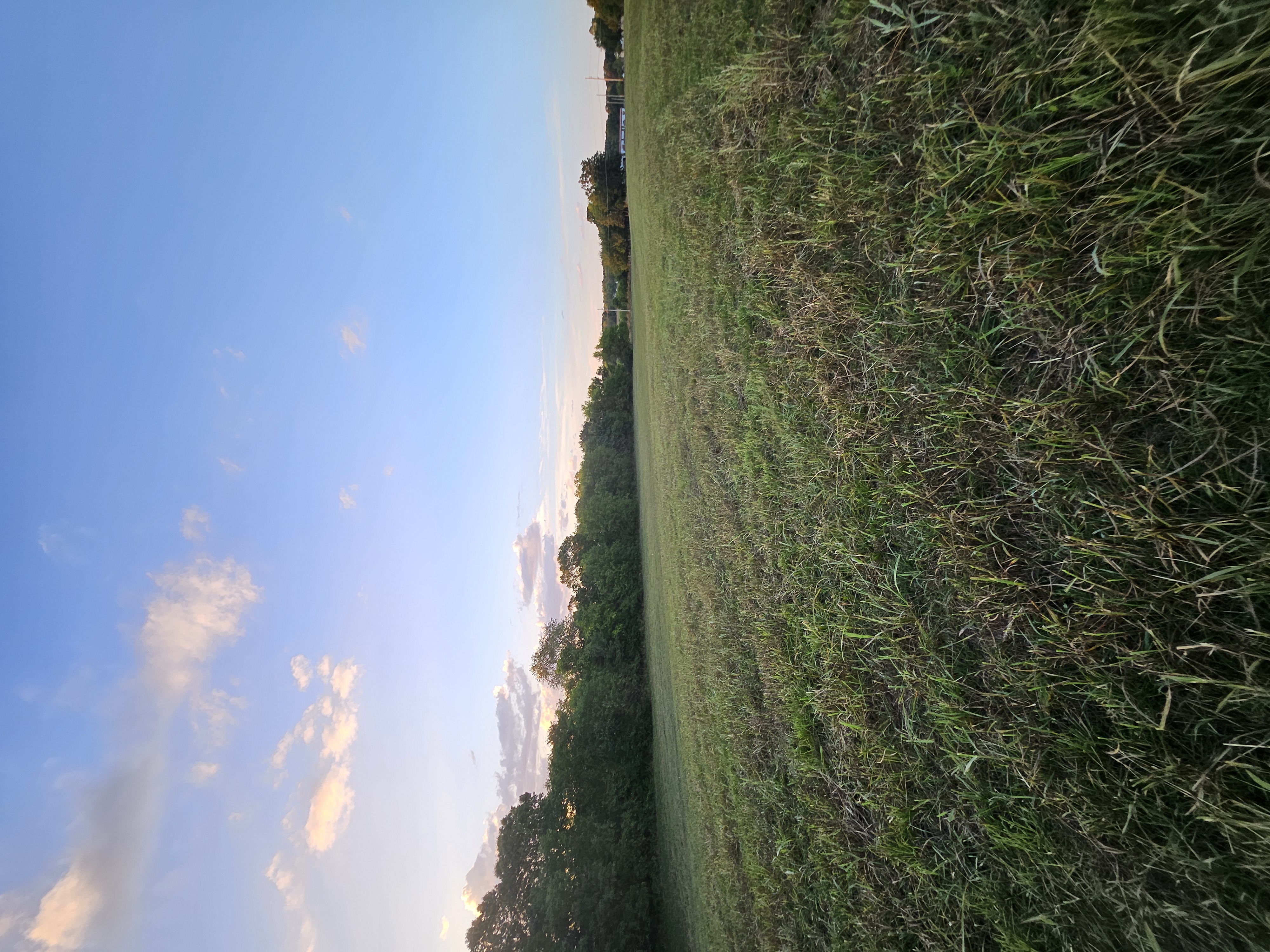 Pierce City, Missouri, 65723, United States, 5 Bedrooms Bedrooms, ,3 BathroomsBathrooms,Residential,For Sale,1975319