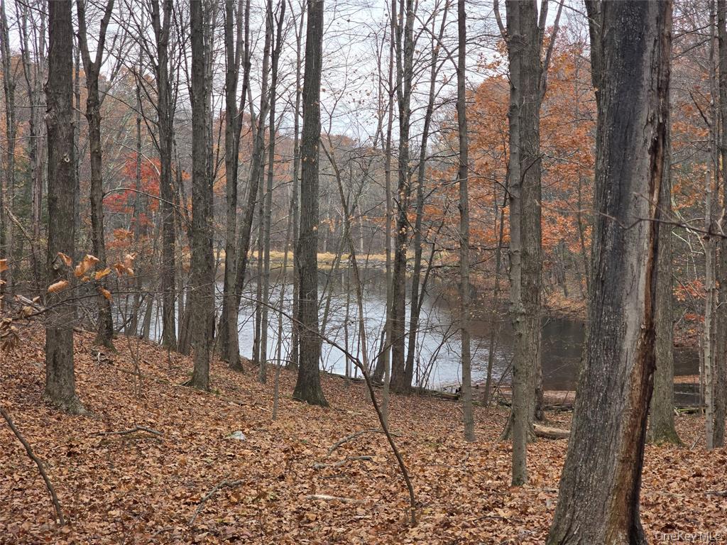 Highland, New York, 12528, United States, ,Residential,For Sale,1989942