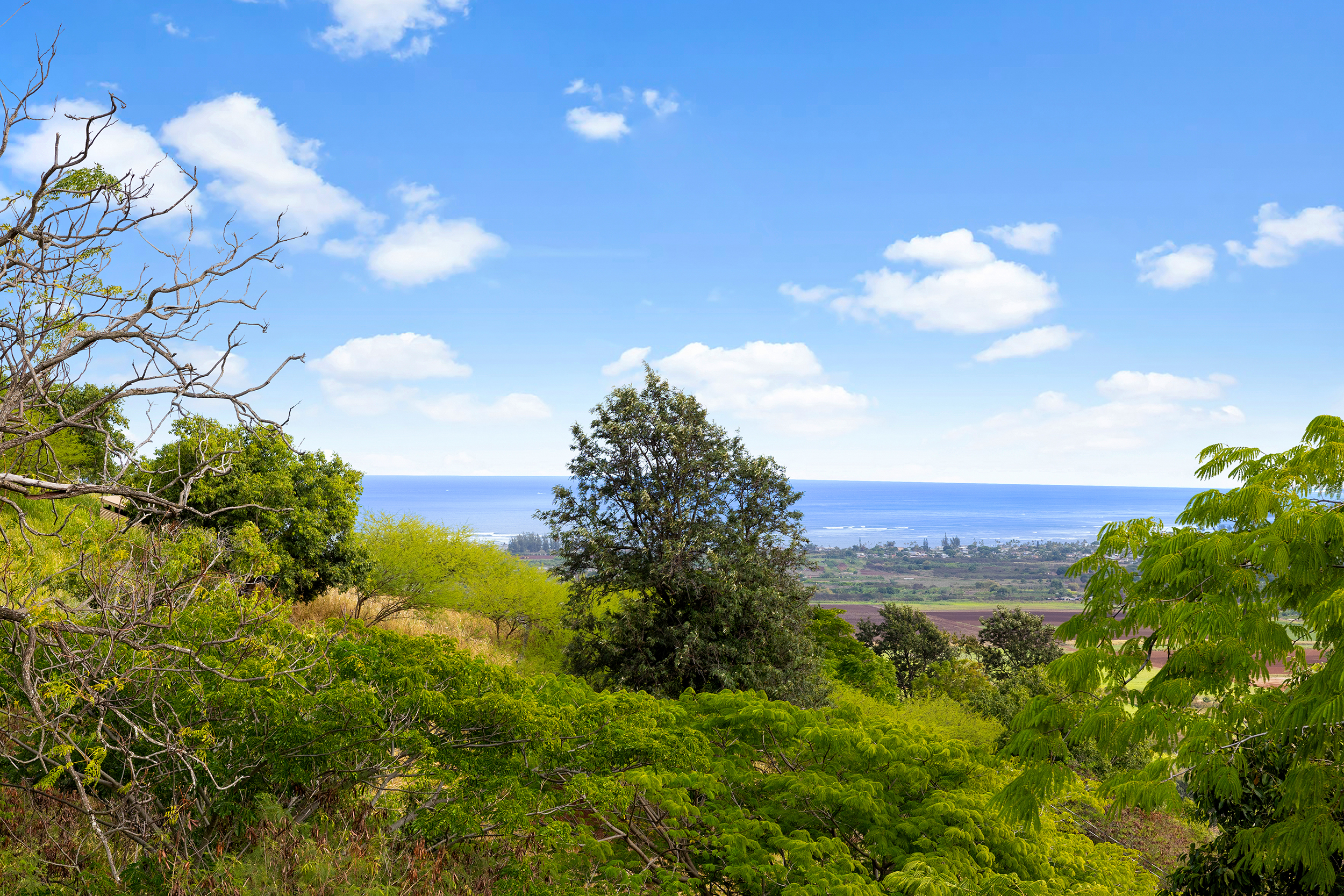  Waialua, Coastline, Ocean views - 物件實景