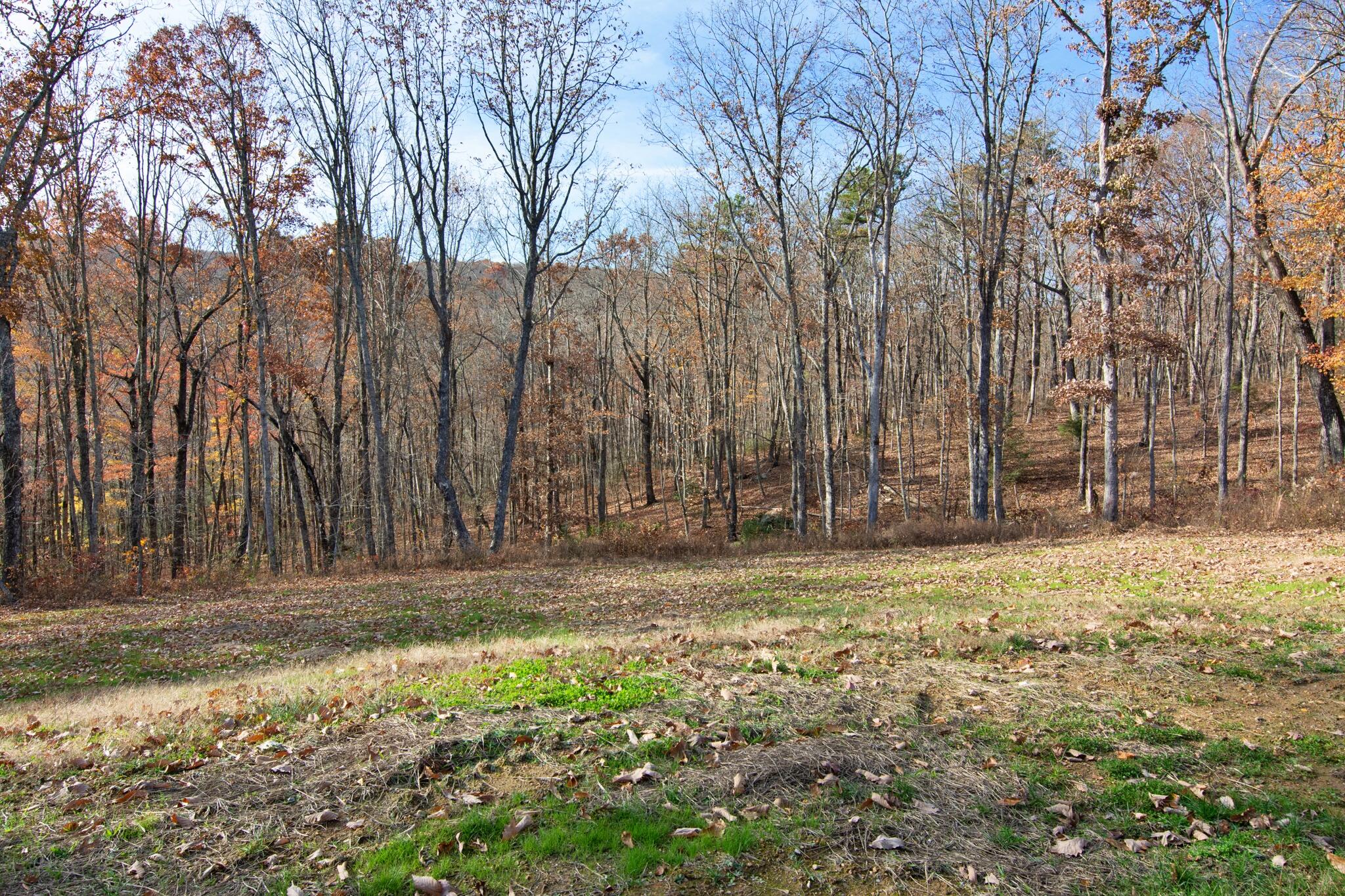 Graysville, Tennessee, 37338, United States, 3 Bedrooms Bedrooms, ,3 BathroomsBathrooms,Residential,For Sale,1995165