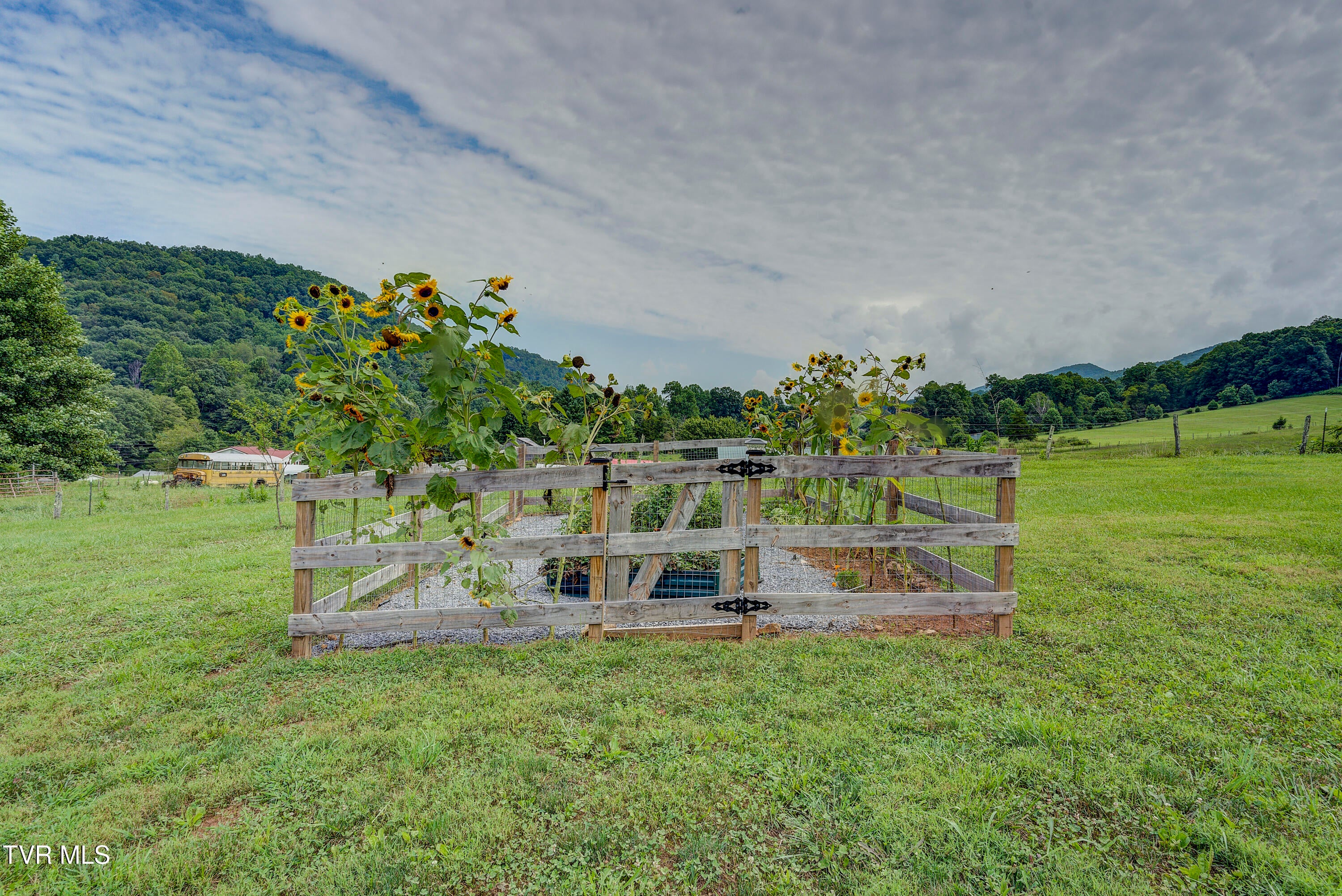 Elizabethton, Tennessee, 37643, United States, 3 Bedrooms Bedrooms, ,2 BathroomsBathrooms,Residential,For Sale,1925509