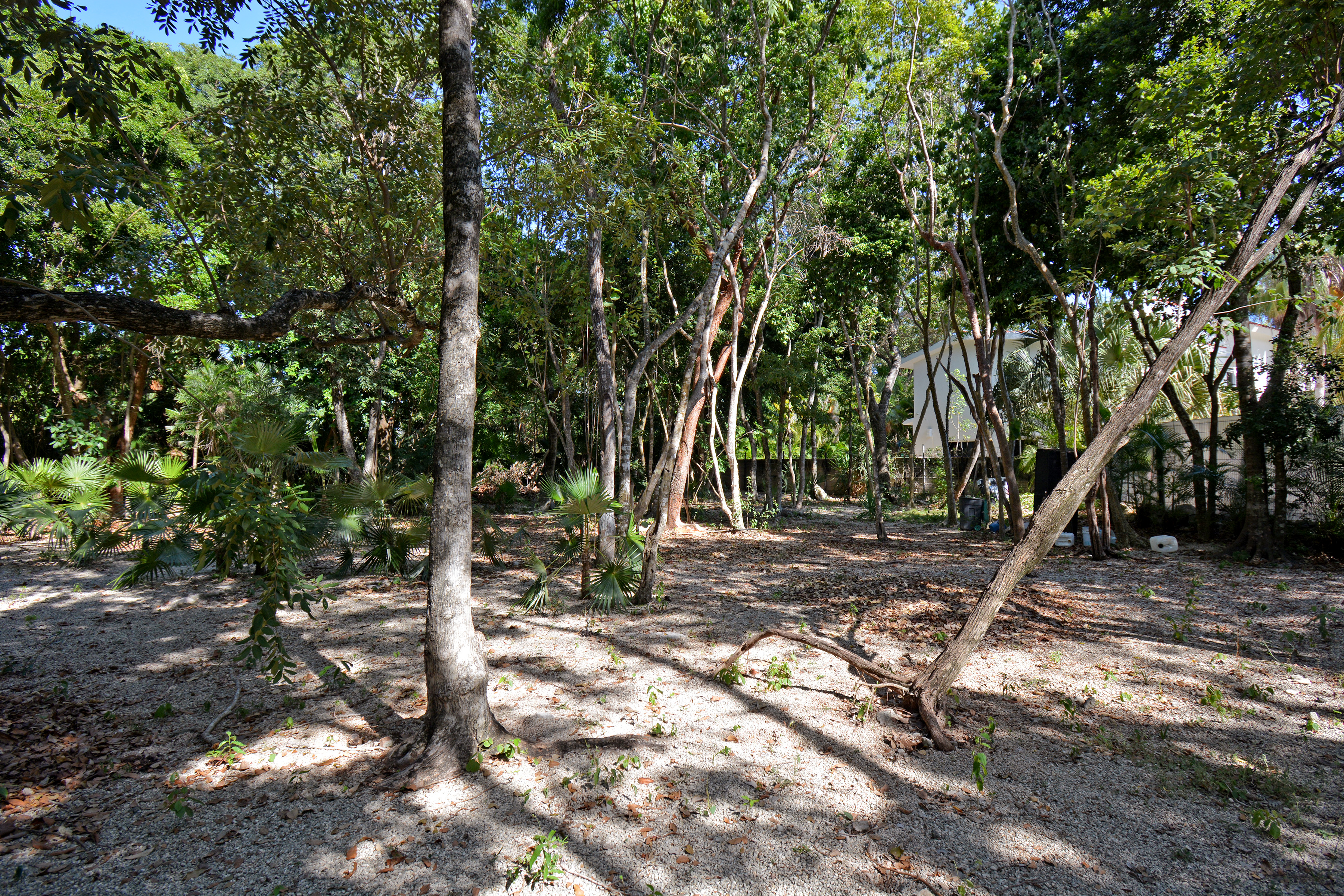  RESIDENTIAL LOT - 物件實景