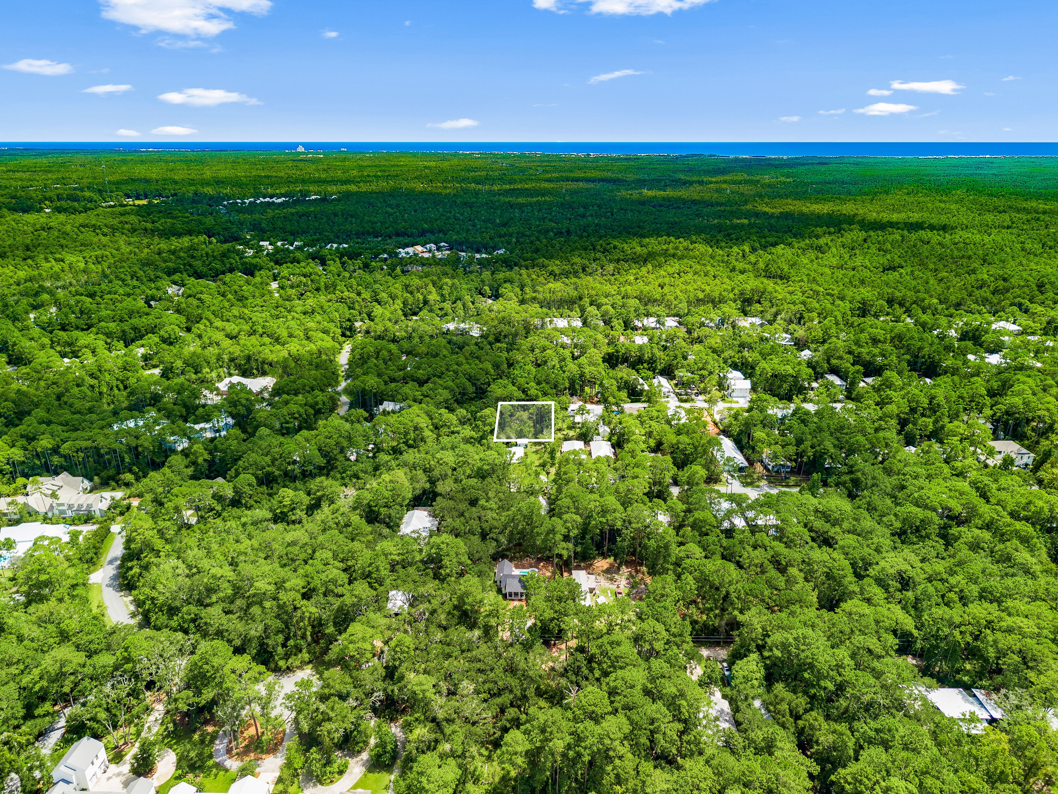  Expansive Point Washington Homesite Near the Bay & 30A - 物件實景