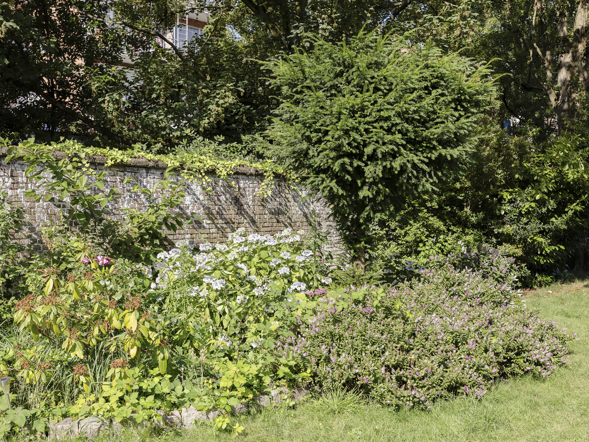  Antwerp I Groen Kwartier - 物件實景