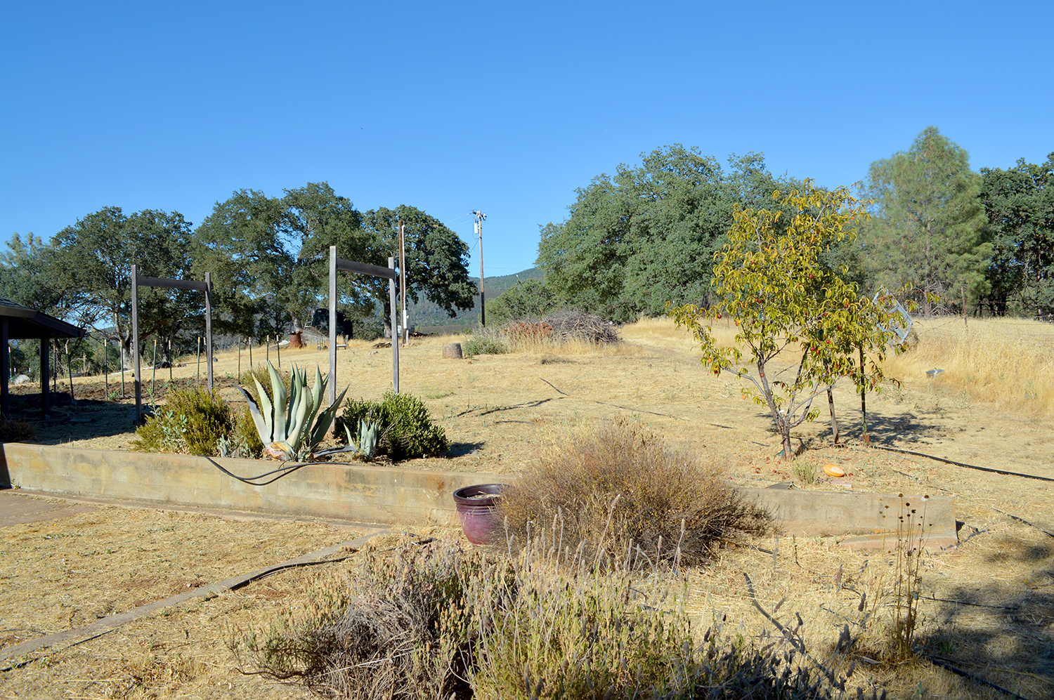 Kelseyville, California, 95451, United States, 2 Bedrooms Bedrooms, ,2 BathroomsBathrooms,Residential,For Sale,1856592