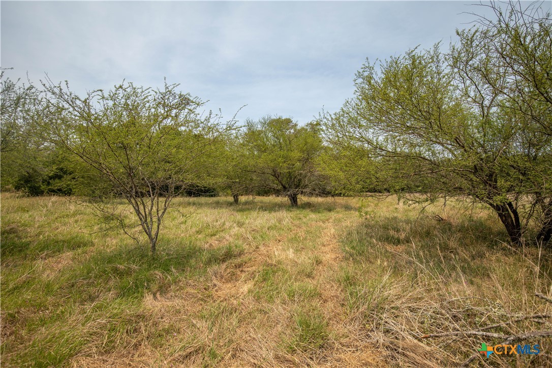 Cuero, Texas, 77954, United States, ,Residential,For Sale,1950887