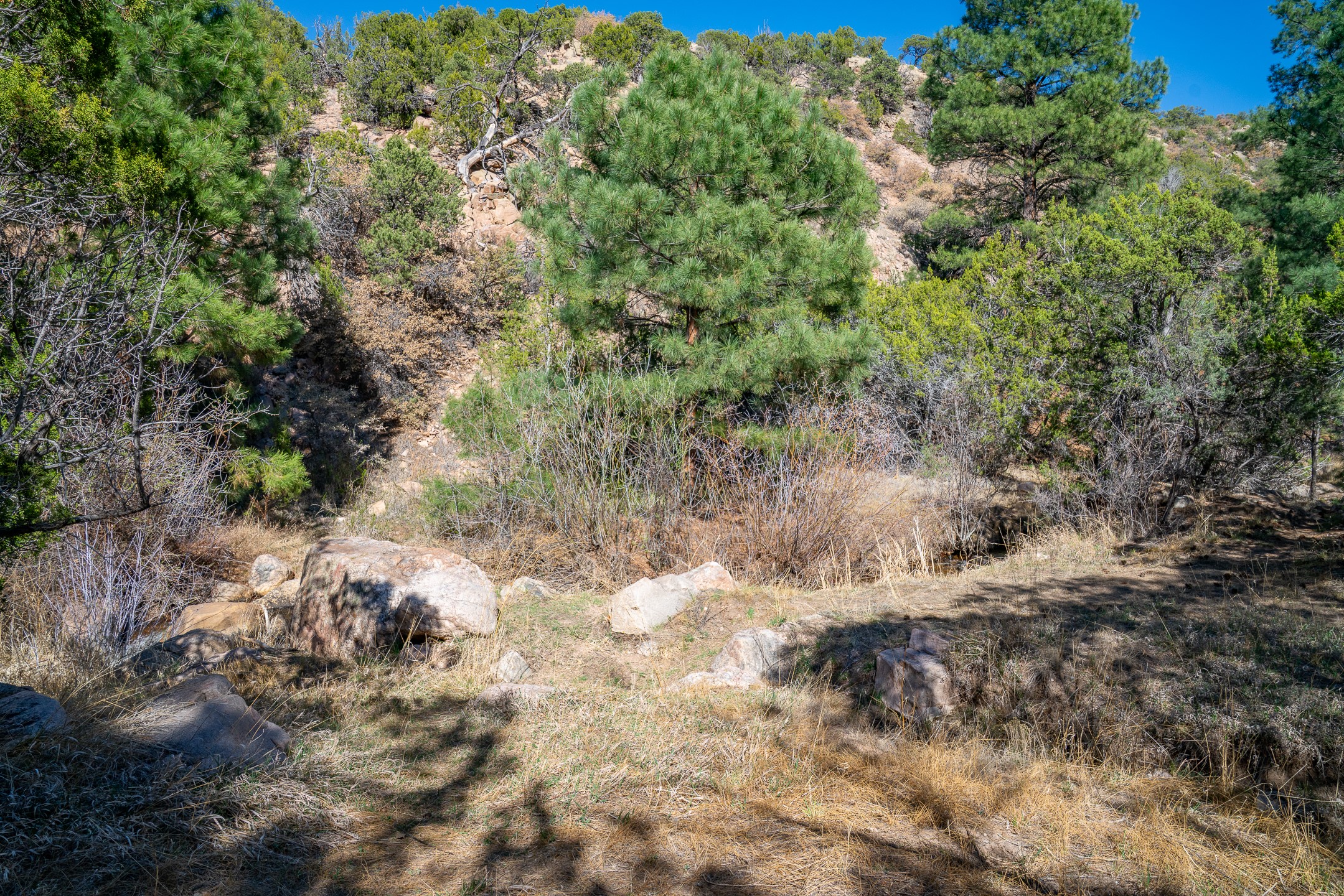  3.5 Acre Lot Camino Del Canon - 物件實景