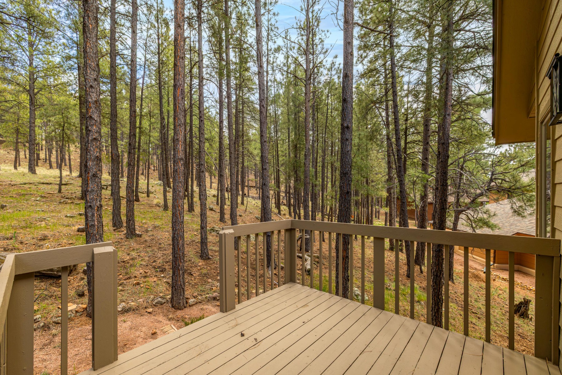  1426 N Edgewood Street¦Flagstaff, AZ - 物件實景