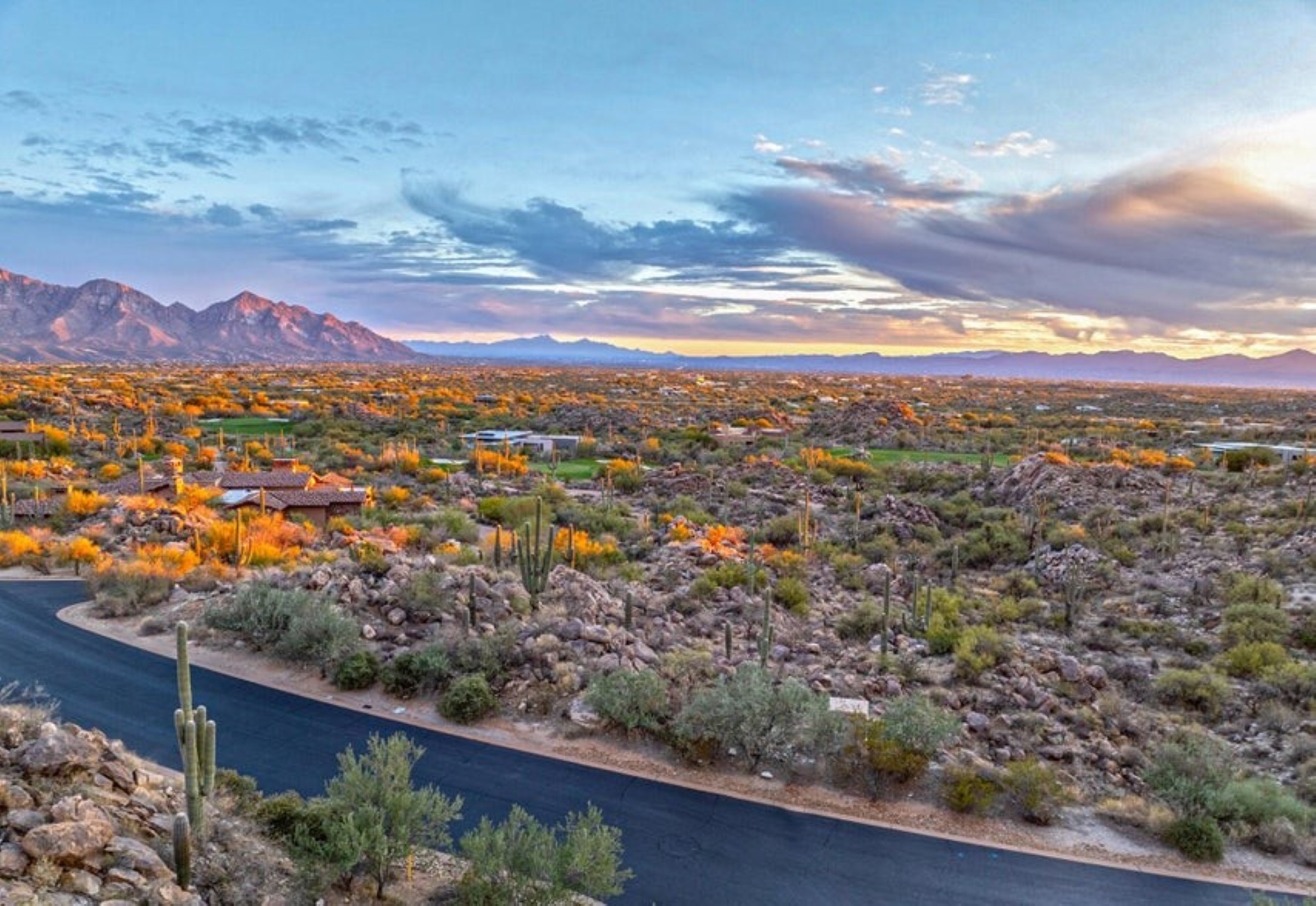  1178 Tortolita Mountain Circle 196¦Oro Valley, AZ - 物件實景
