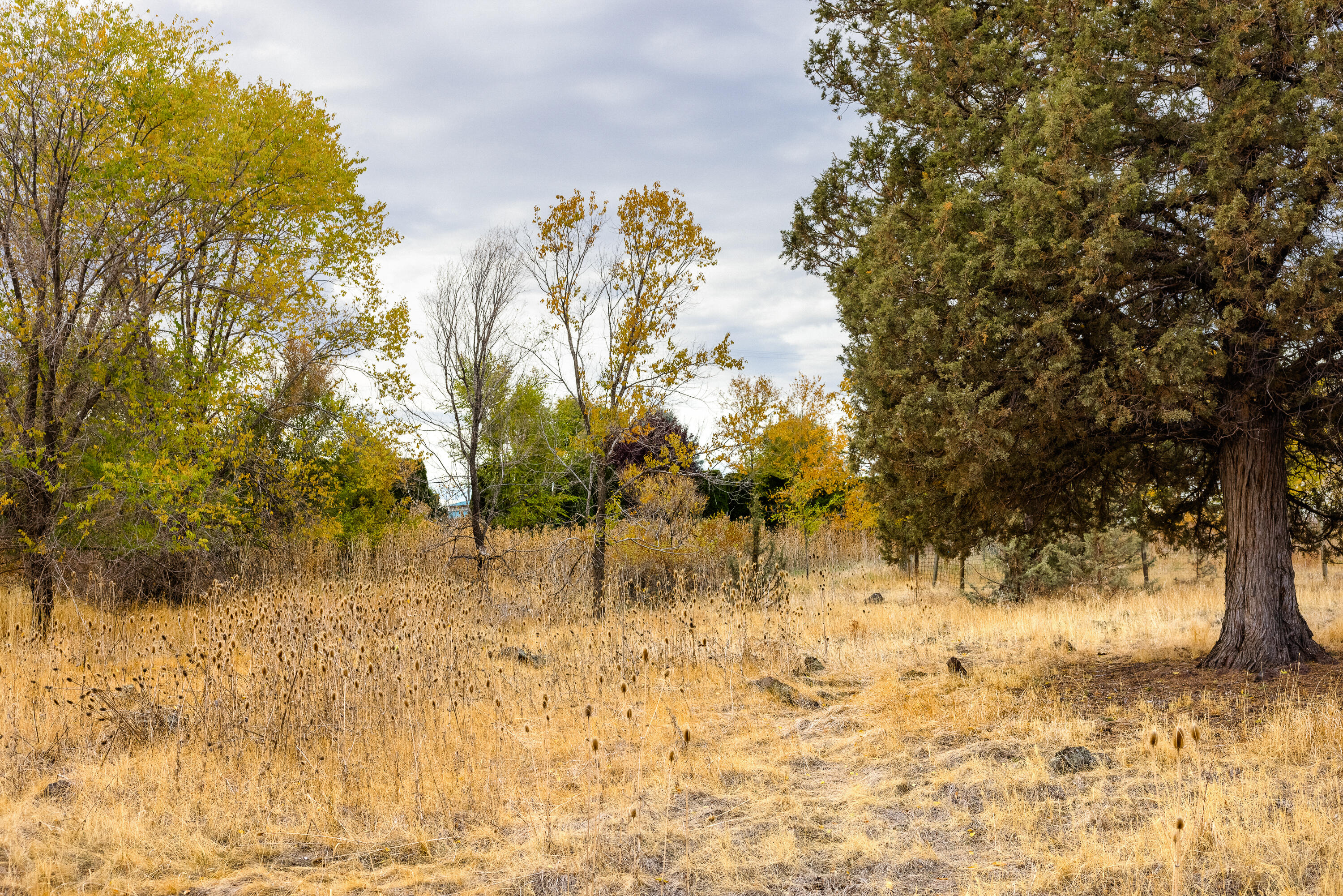 Culver, Oregon, 97734, United States, 1 Bedroom Bedrooms, ,1 BathroomBathrooms,Residential,For Sale,1940450