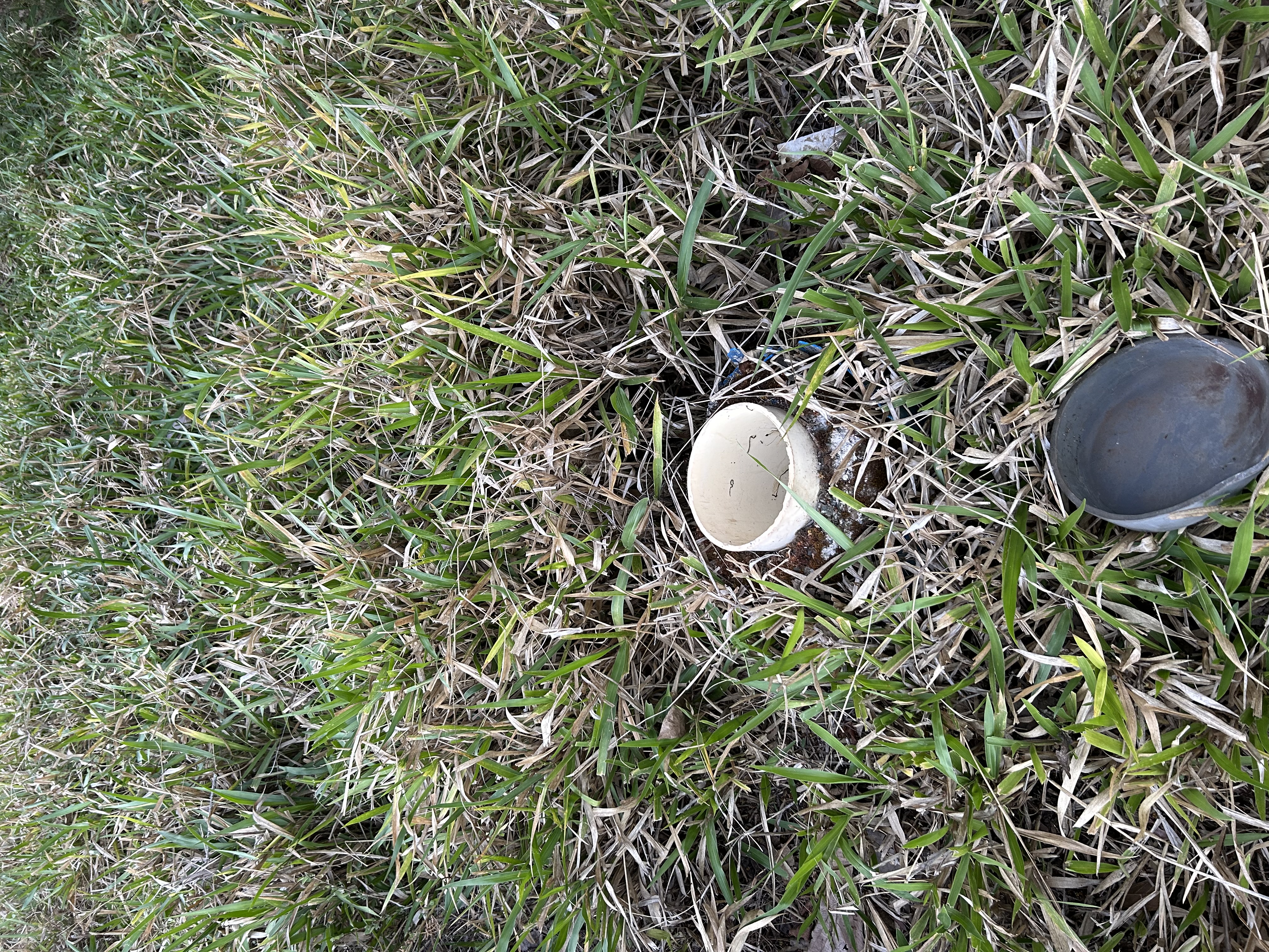 Atenas, Alajuela, CR, ,Land,For Sale,1627733