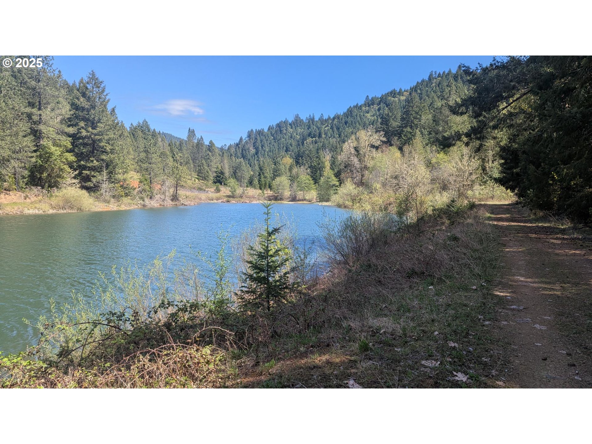 2999 Speaker Rd, Wolf Creek, Oregon, 97497, United States, 4 Bedrooms Bedrooms, ,4 BathroomsBathrooms,Residential,For Sale,2999 Speaker Rd,1659471