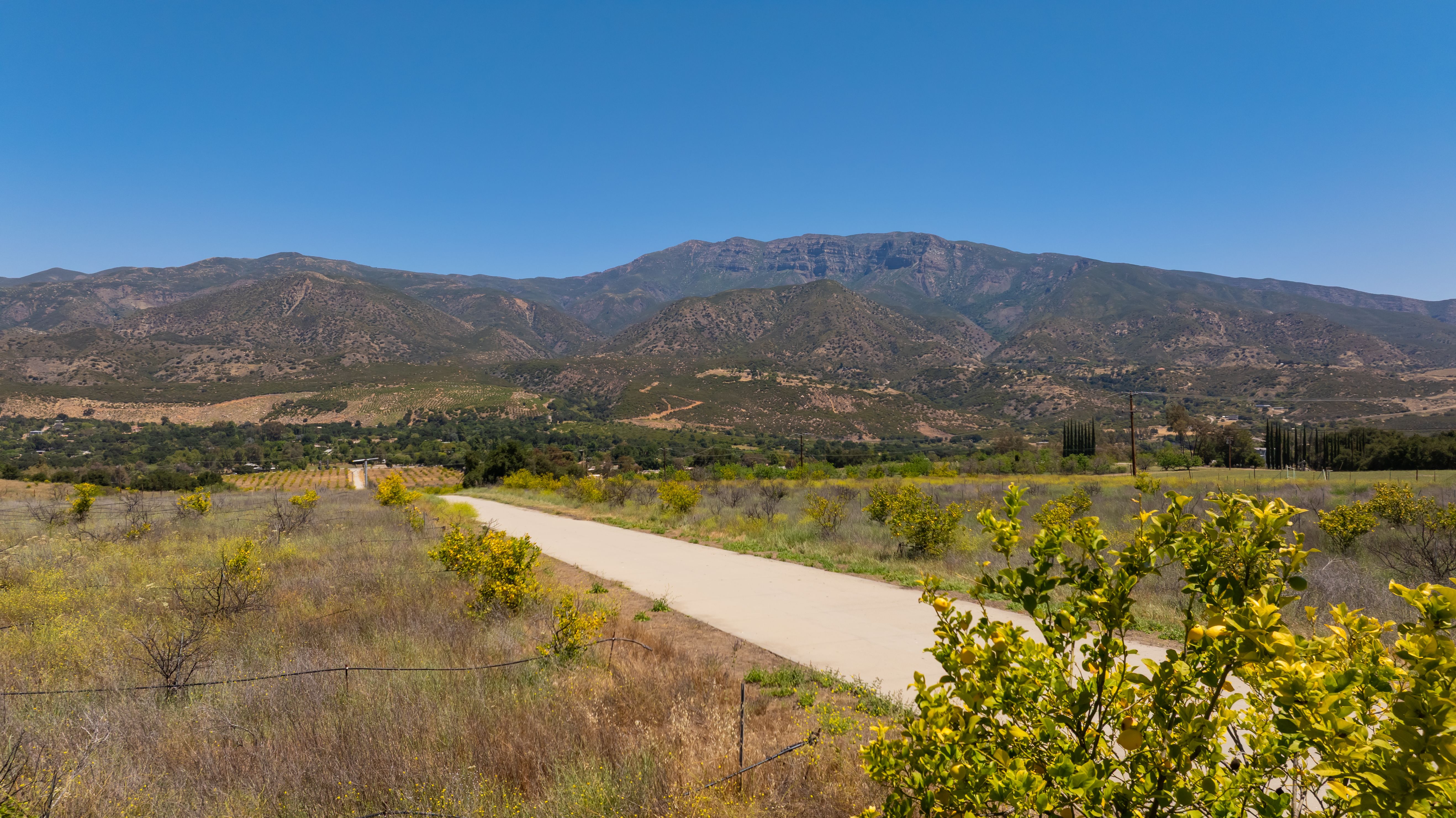  12400 Ojai Santa Paula Road, Ojai, CA 93023 - 物件實景