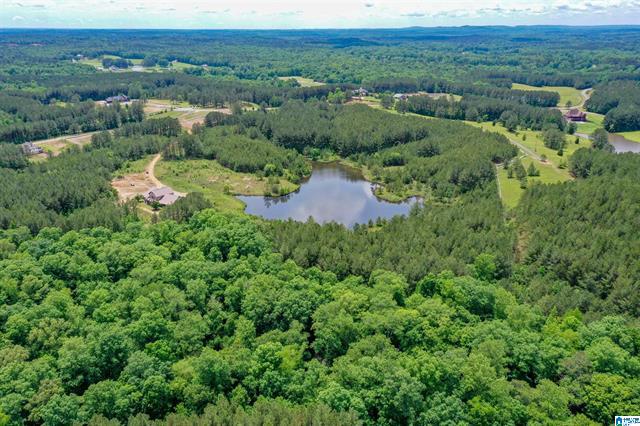 Columbiana, Alabama, 35051, United States, 3 Bedrooms Bedrooms, ,2 BathroomsBathrooms,Residential,For Sale,1975847