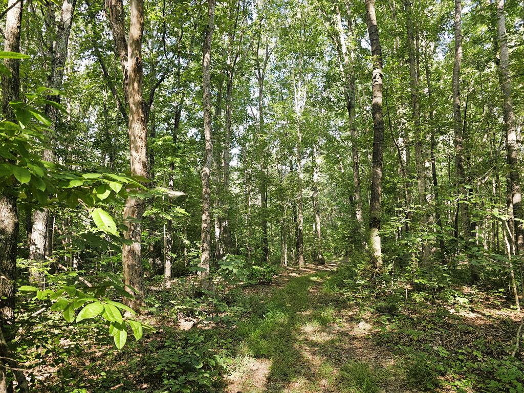 Brookneal, Virginia, 24528, United States, 2 Bedrooms Bedrooms, ,2 BathroomsBathrooms,Residential,For Sale,1927692