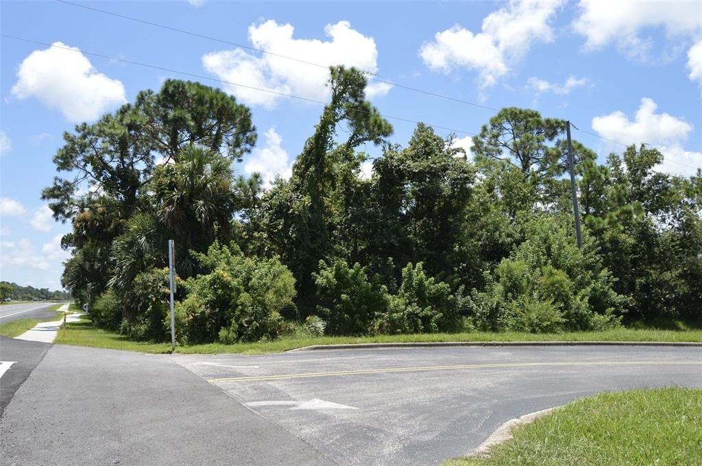 Edgewater, Florida, 32141, United States, ,Land,For Sale,1723256