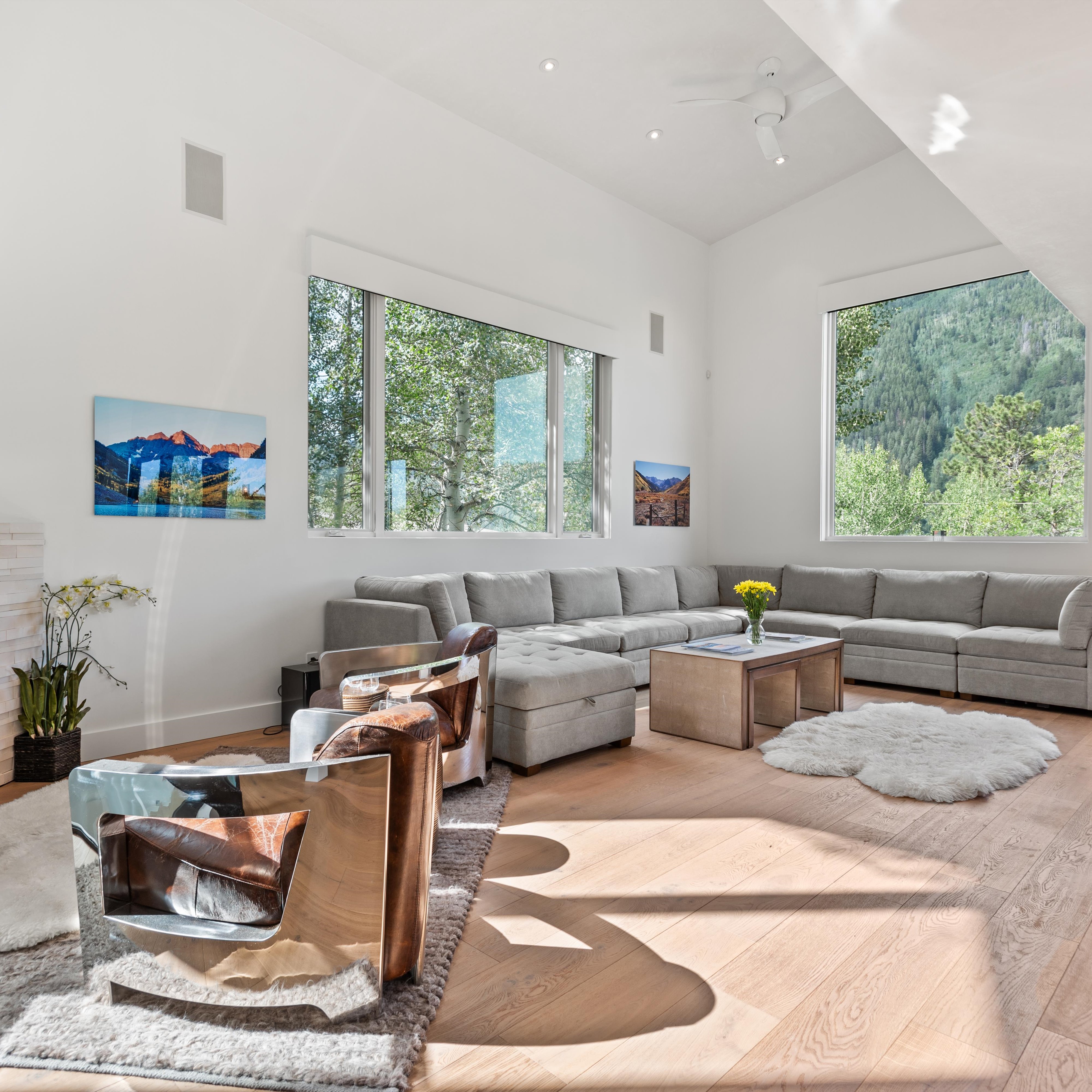  257 Mountain Laurel Drive, Aspen, CO, 81611 - 物件實景