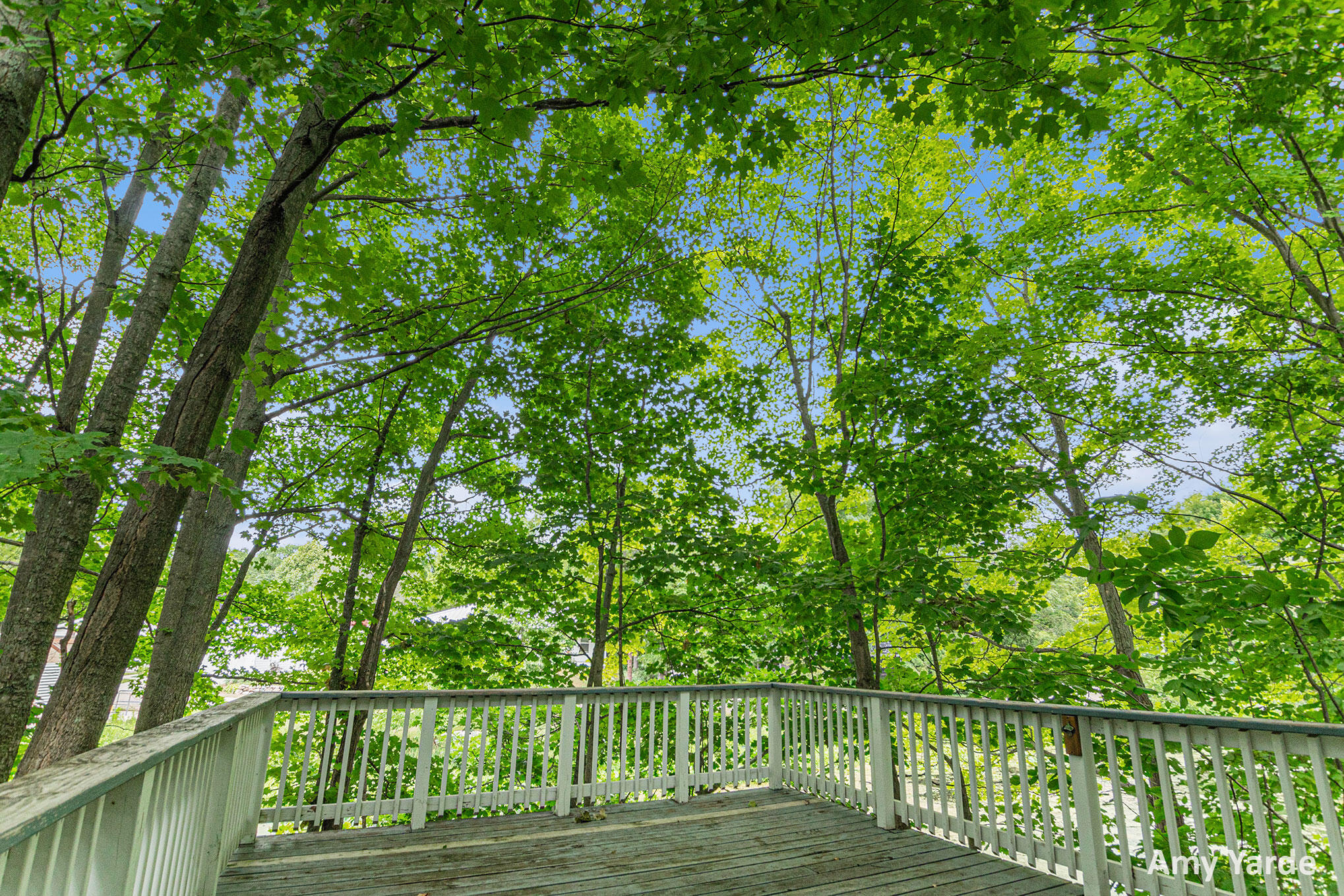 Saugatuck, Michigan, 49453, United States, 2 Bedrooms Bedrooms, ,2 BathroomsBathrooms,Residential,For Sale,1897560