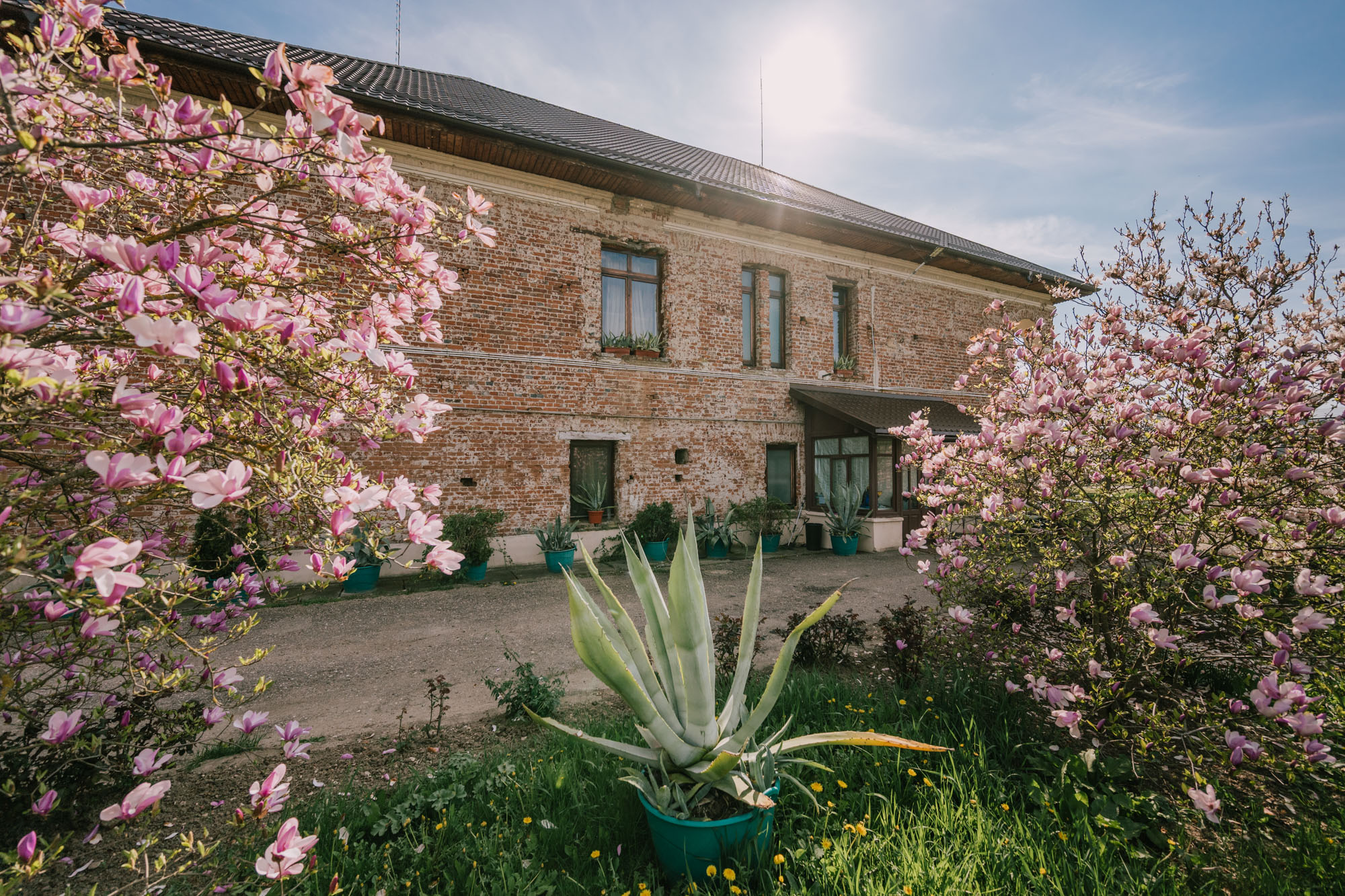  Aristocratic Retreat in the Heart of the Arge Hills - 物件實景