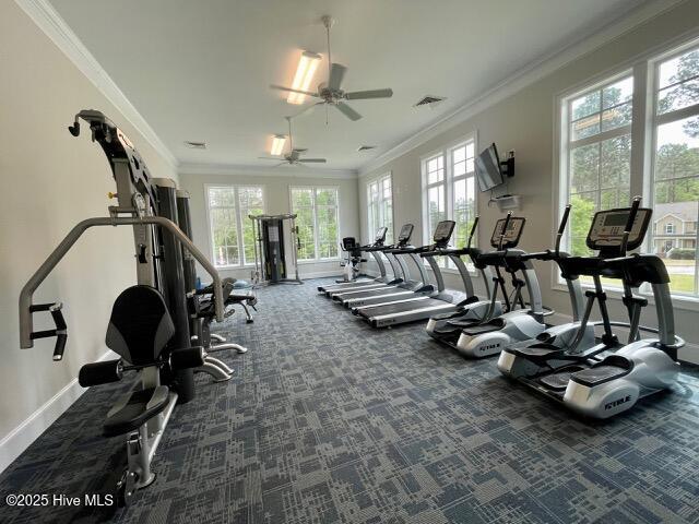 Carthage, North Carolina, 28327, United States, 3 Bedrooms Bedrooms, ,3 BathroomsBathrooms,Residential,For Sale,1838621