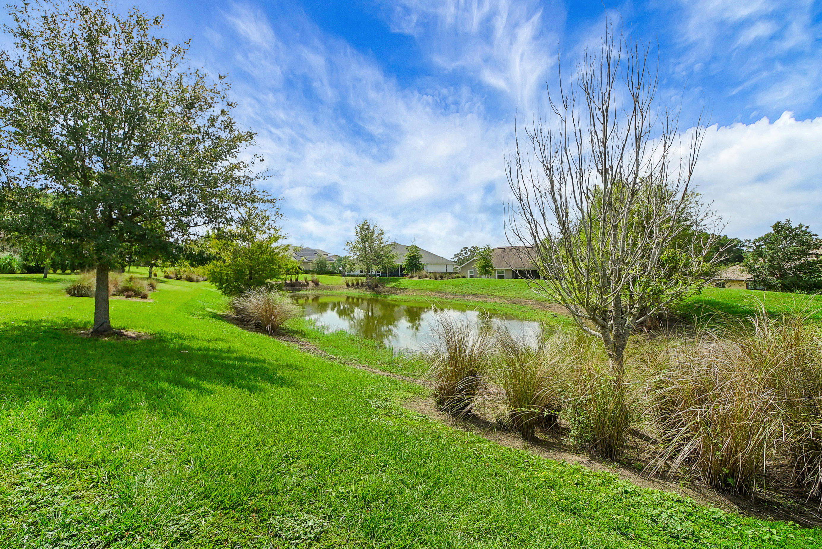 Lady Lake, Florida, 32159, United States, 4 Bedrooms Bedrooms, ,3 BathroomsBathrooms,Residential,For Sale,1945025