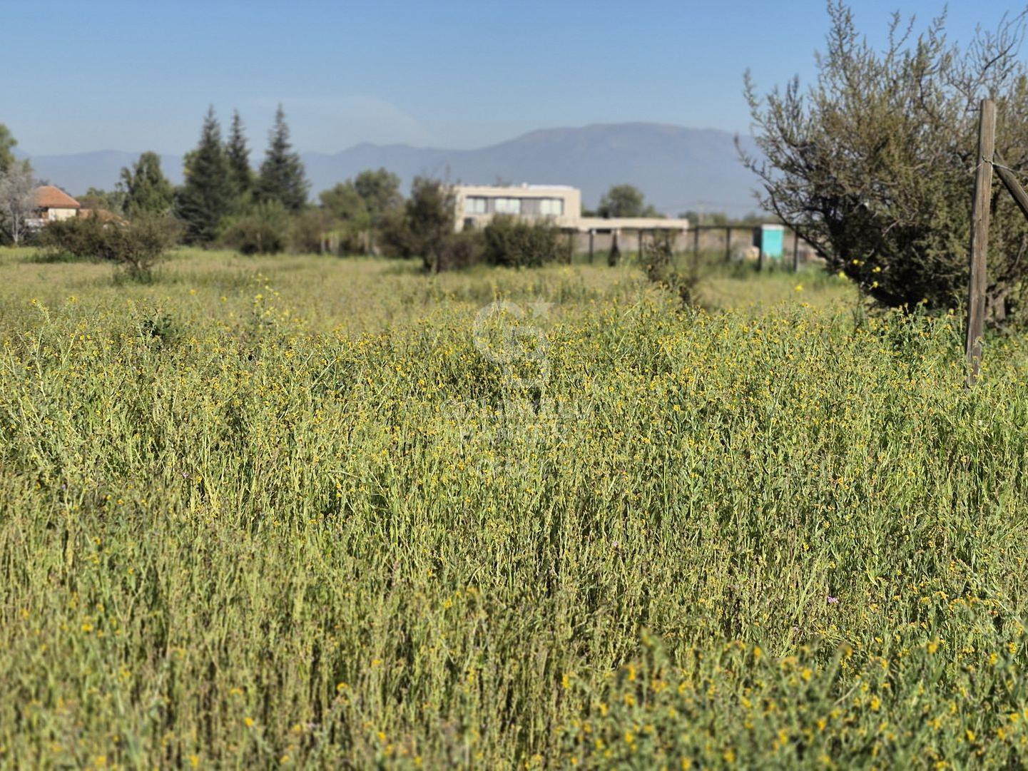 Colina, Chile, ,Land,For Sale,1958445