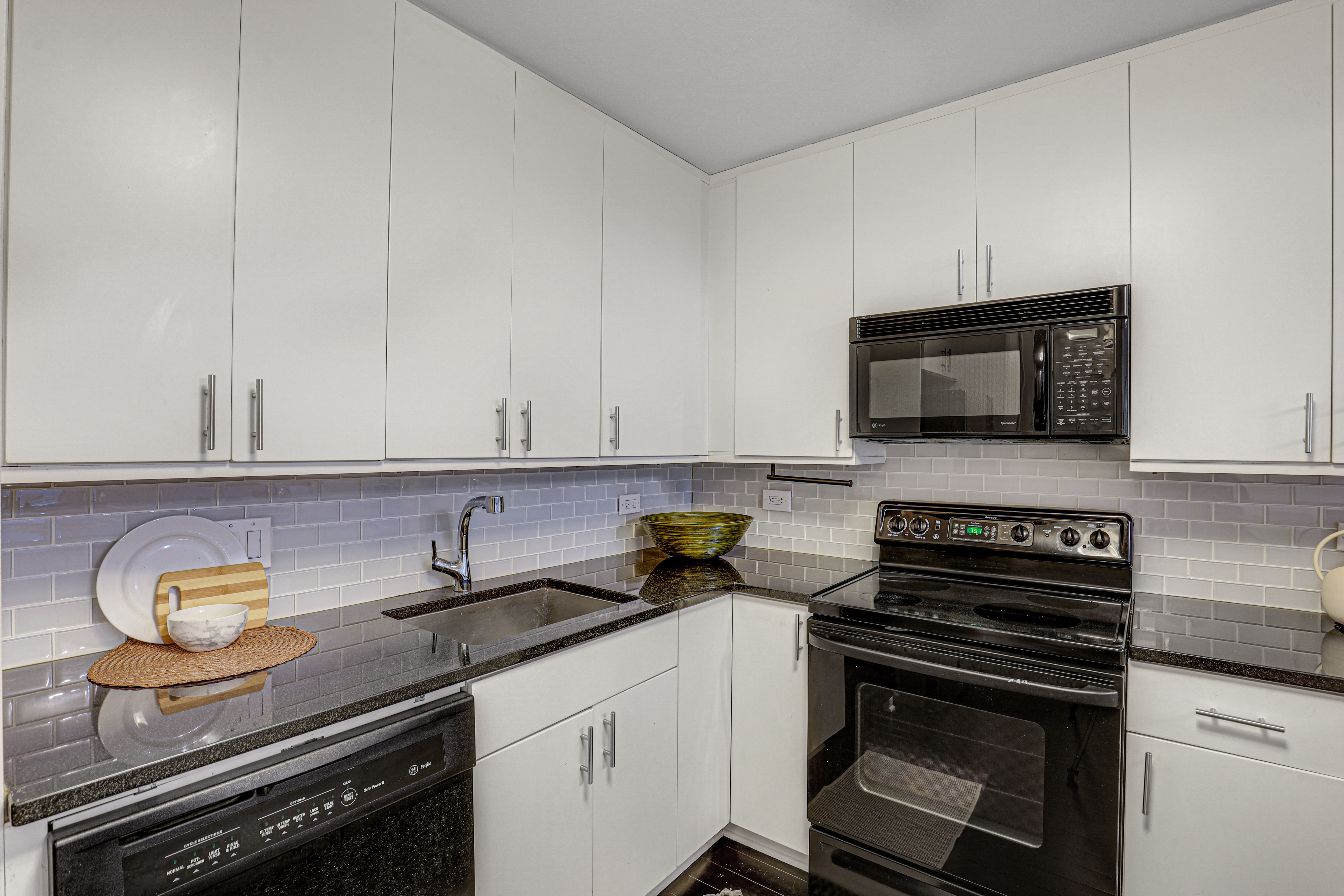  Spacious and Updated 900-square-foot One-bedroom in the Heart of Streeterville - 物件實景