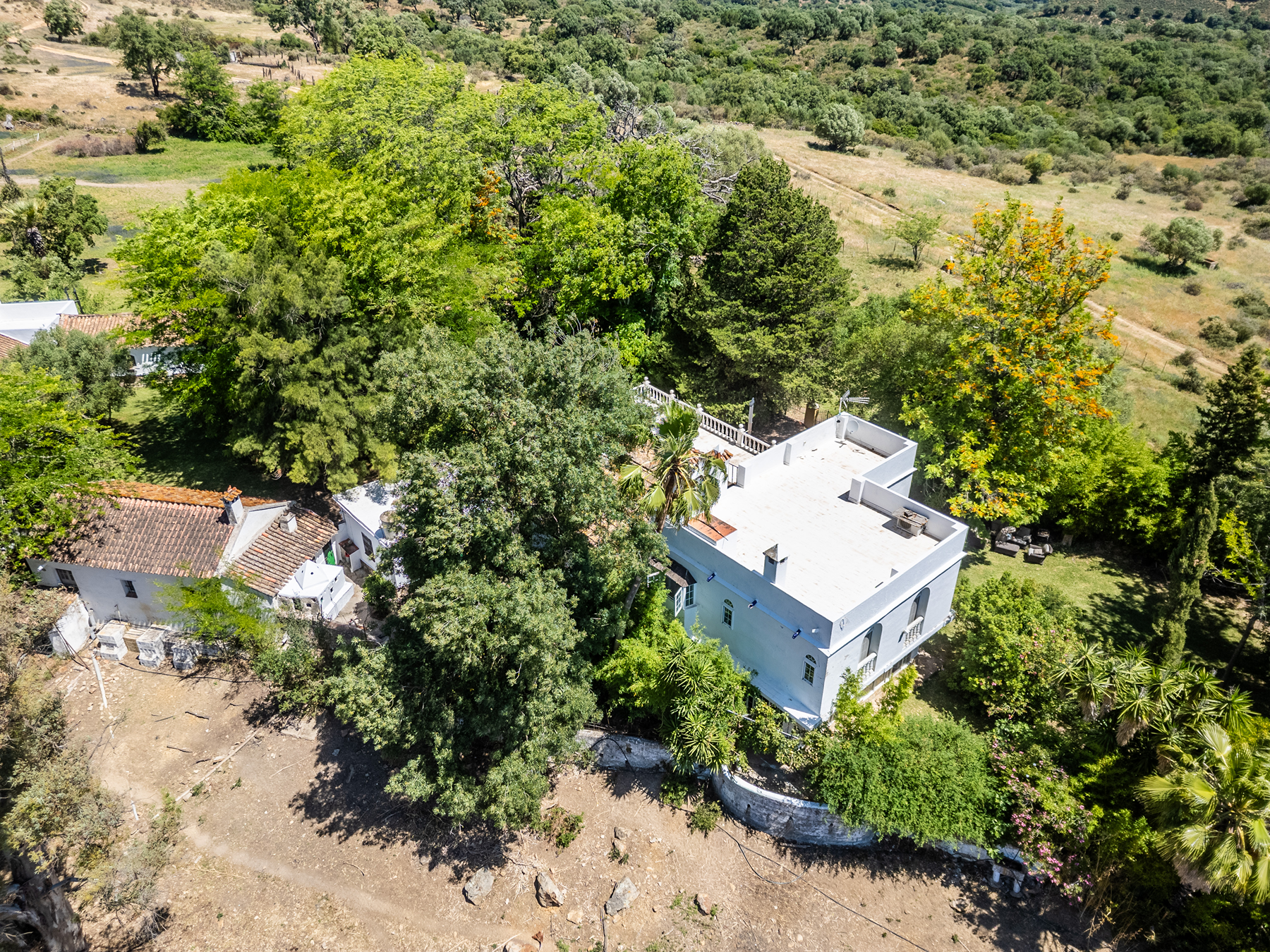  Exclusive Estate in Los Alcornocales Natural Park - 物件實景