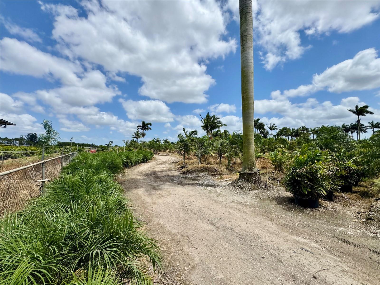 Homestead, Florida, 33034, United States, ,Land,For Sale,1985772