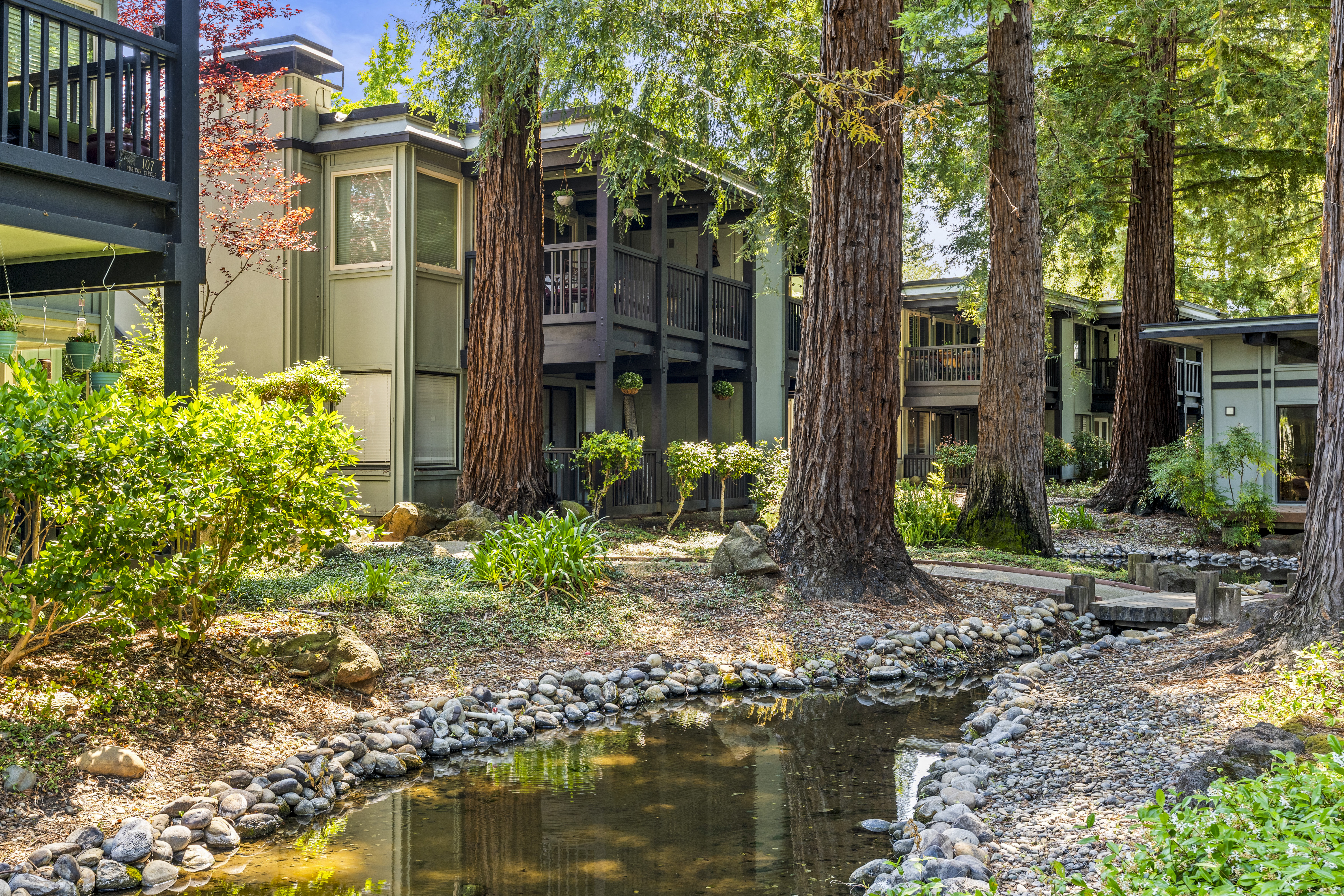  Tranquil Westside Danville Condominium Surrounded by Majestic Redwoods - 物件實景