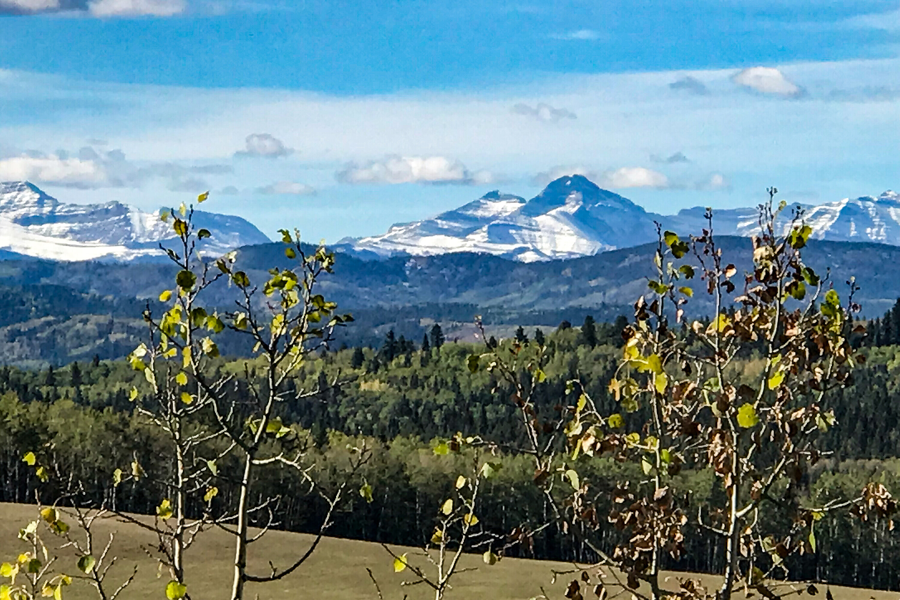  Rural Foothills County, Calgary and Foothills - 物件實景