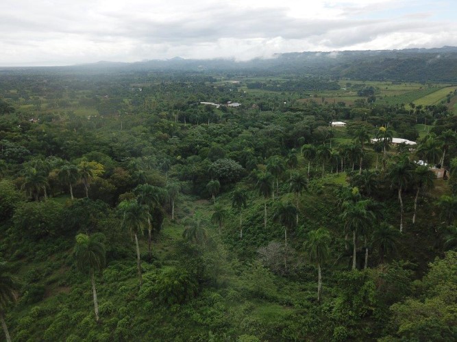 Sabaneta, DO, ,Land,For Sale,1618868