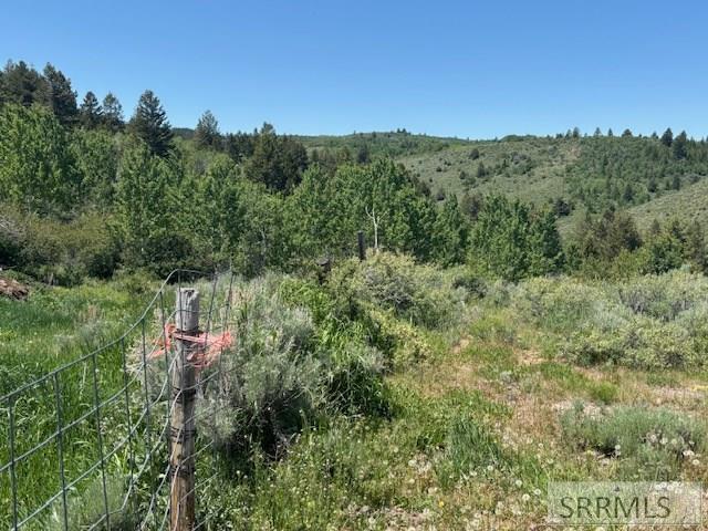 RIRIE, Idaho, 83443, United States, ,Residential,For Sale,1974893