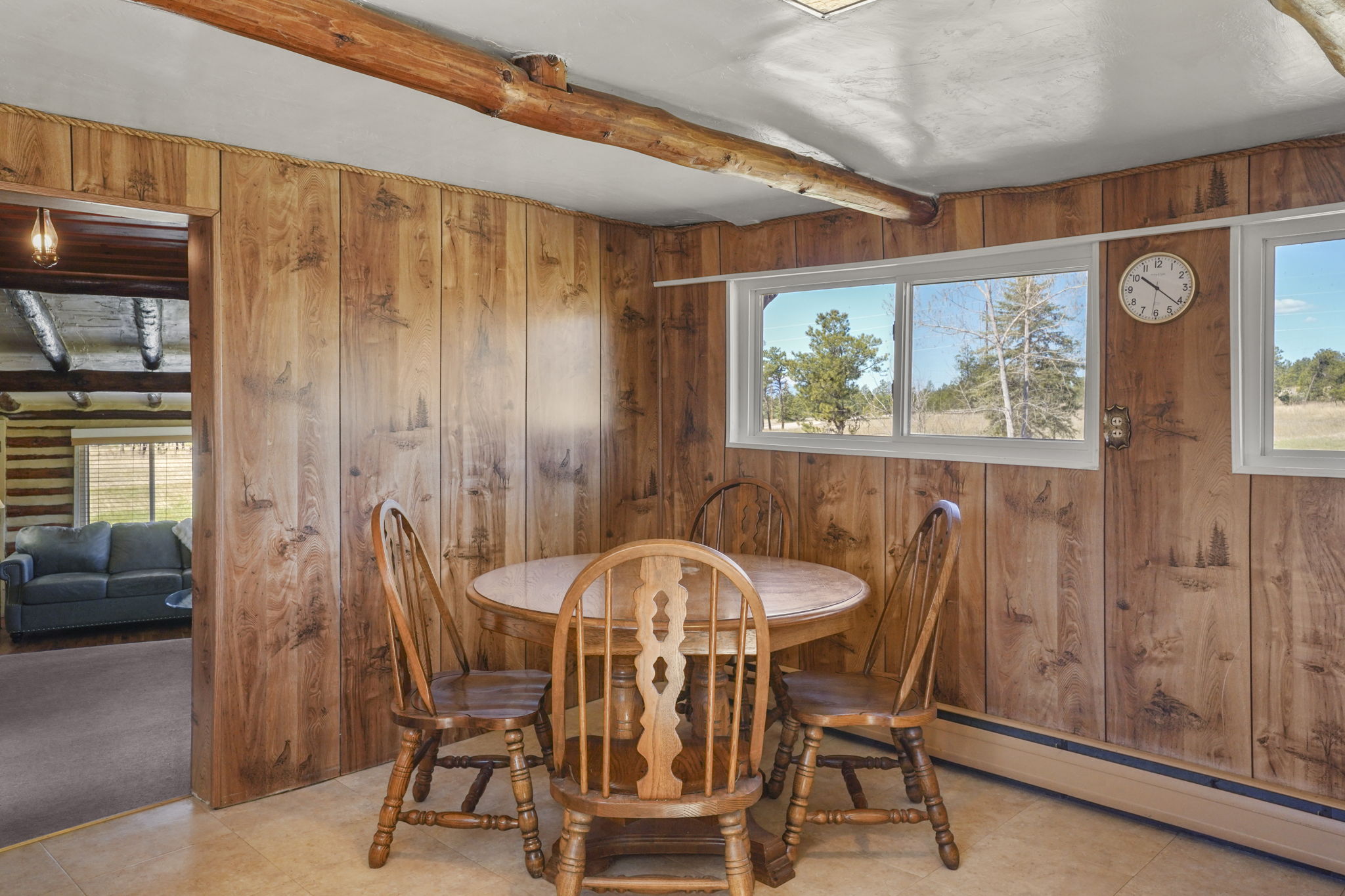  Phenomenal opportunity in Black Forest with tremendous Pikes Peak views - 物件實景