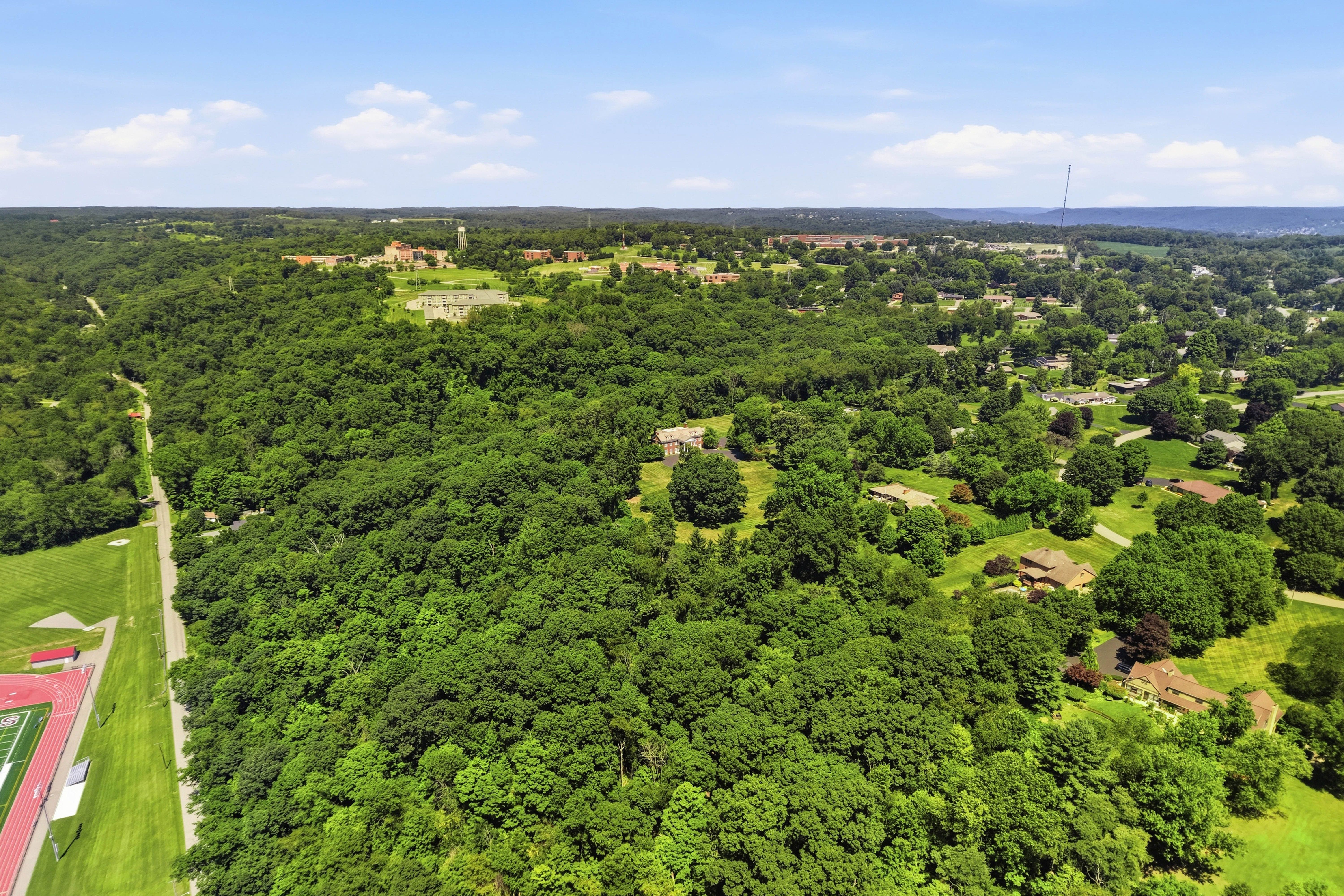  The Estate at Windy Ghoul - 物件實景