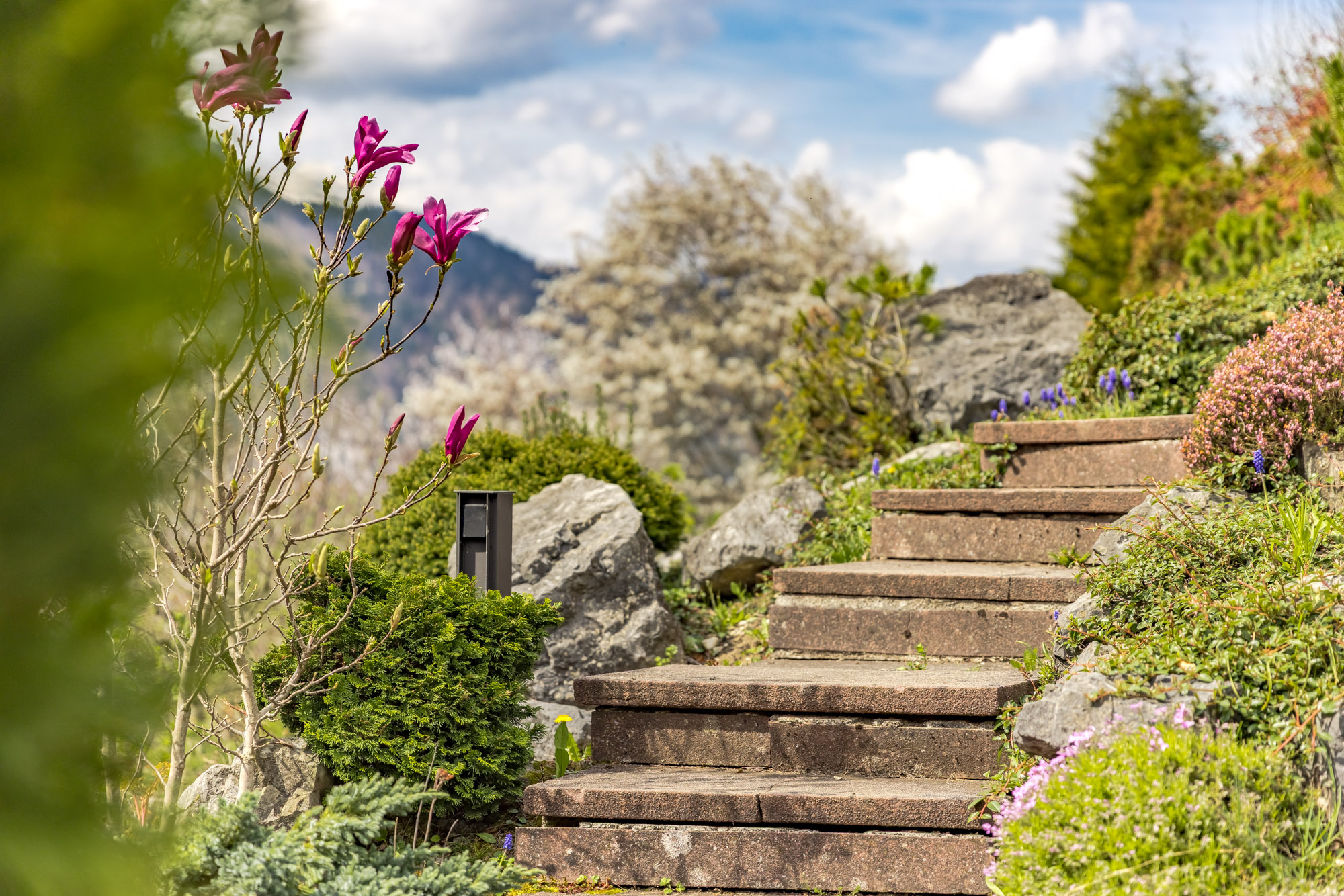  Alpine Living - Front Row to the Mountains - 物件實景