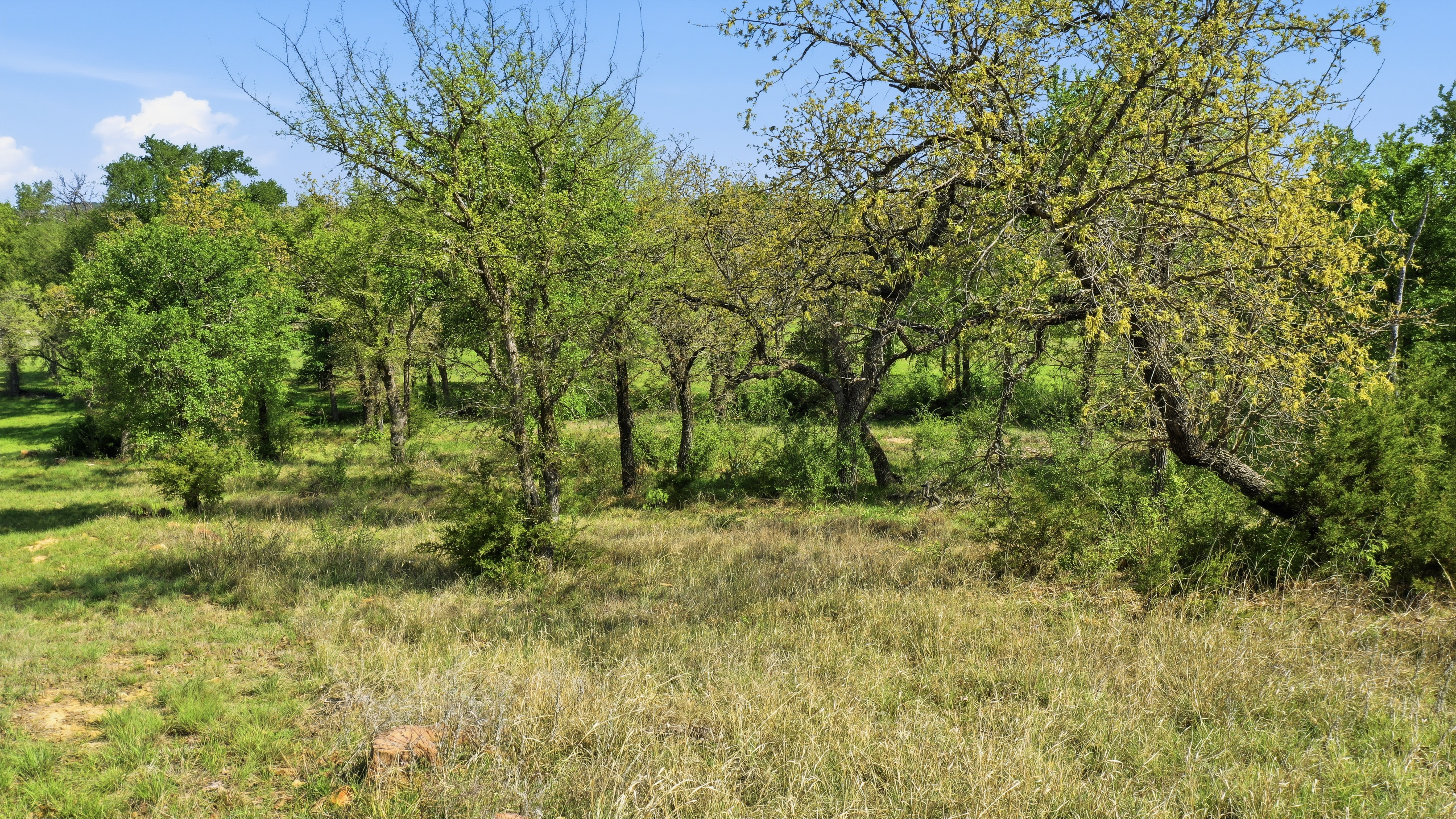 Space for Barns, Workshops, and Big Texas Dreams - 物件實景