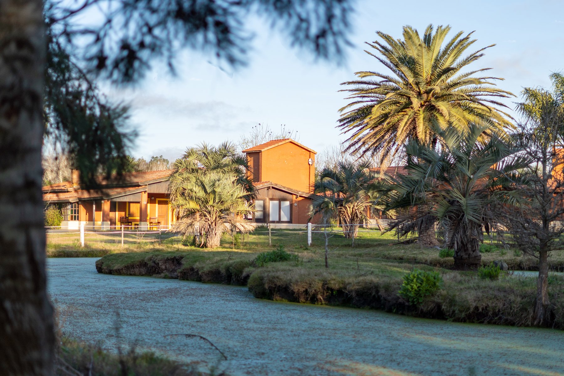  NAHUEL Stud Farm - 物件實景