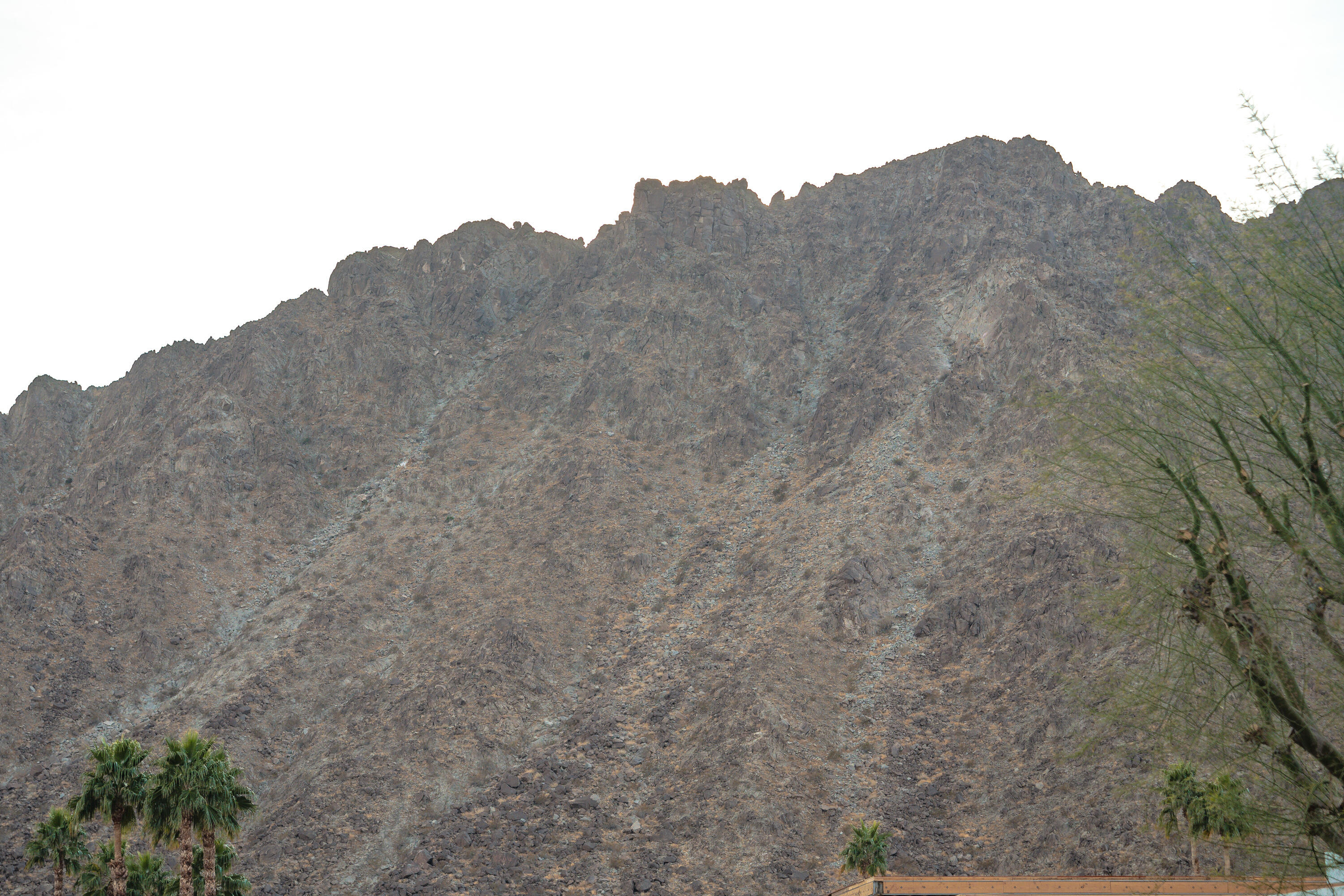 La Quinta, California, 92253, United States, 4 Bedrooms Bedrooms, ,4 BathroomsBathrooms,Residential,For Sale,1992034