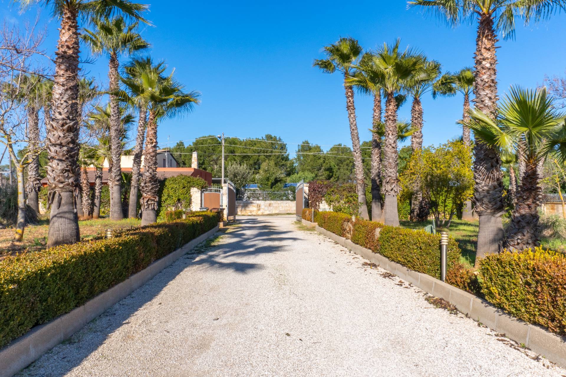 Contrada Varvolla, San Vito dei Normanni, Brindisi, 72019, IT, 4 Bedrooms Bedrooms, ,4 BathroomsBathrooms,Residential,For Sale,Contrada Varvolla,1680674