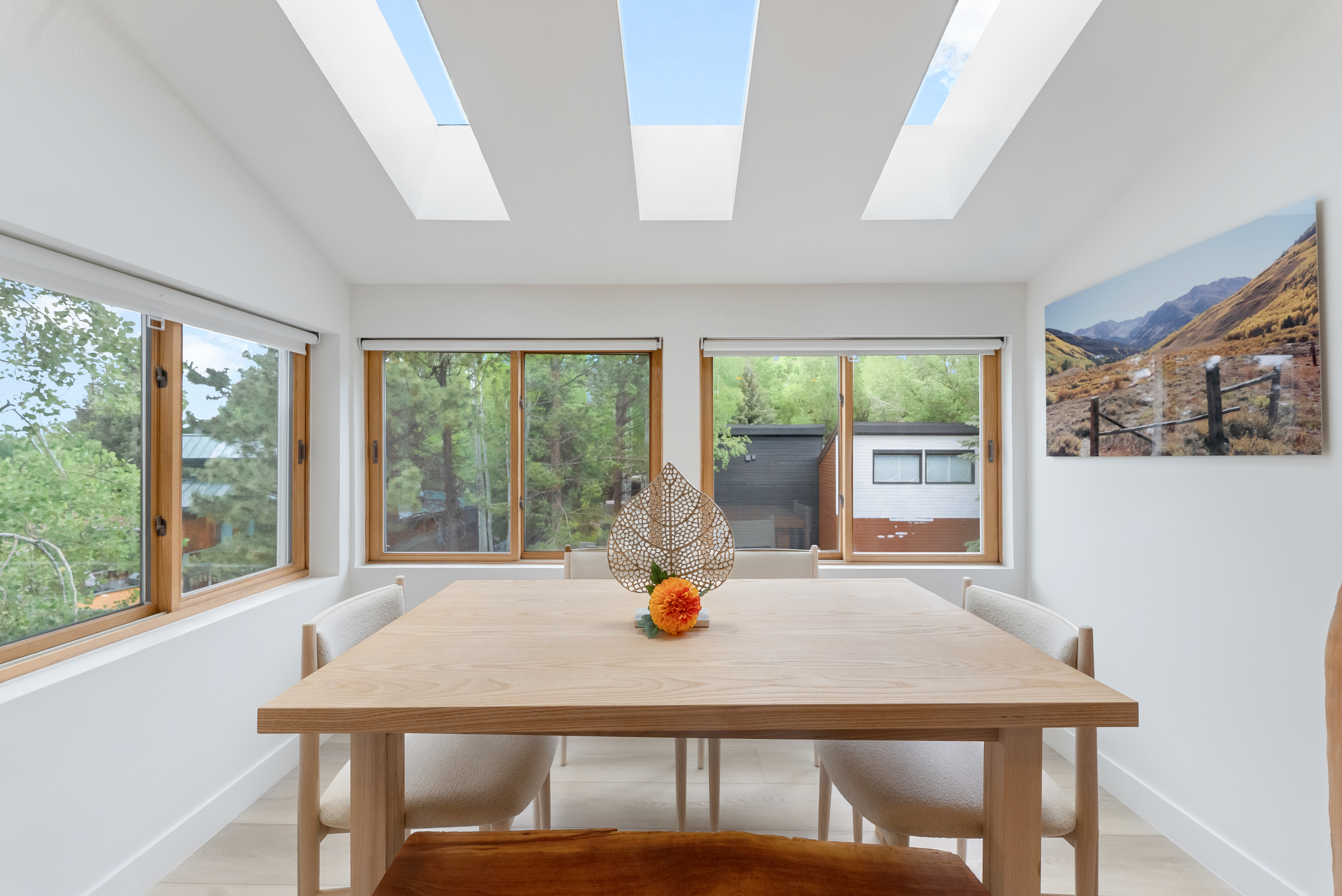  910 W Hallam Street, Aspen, CO, 81611 - 物件實景