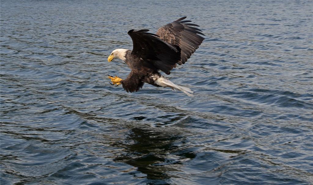 Englewood, Florida, 34223, United States, 2 Bedrooms Bedrooms, ,2 BathroomsBathrooms,Residential,For Sale,1995448