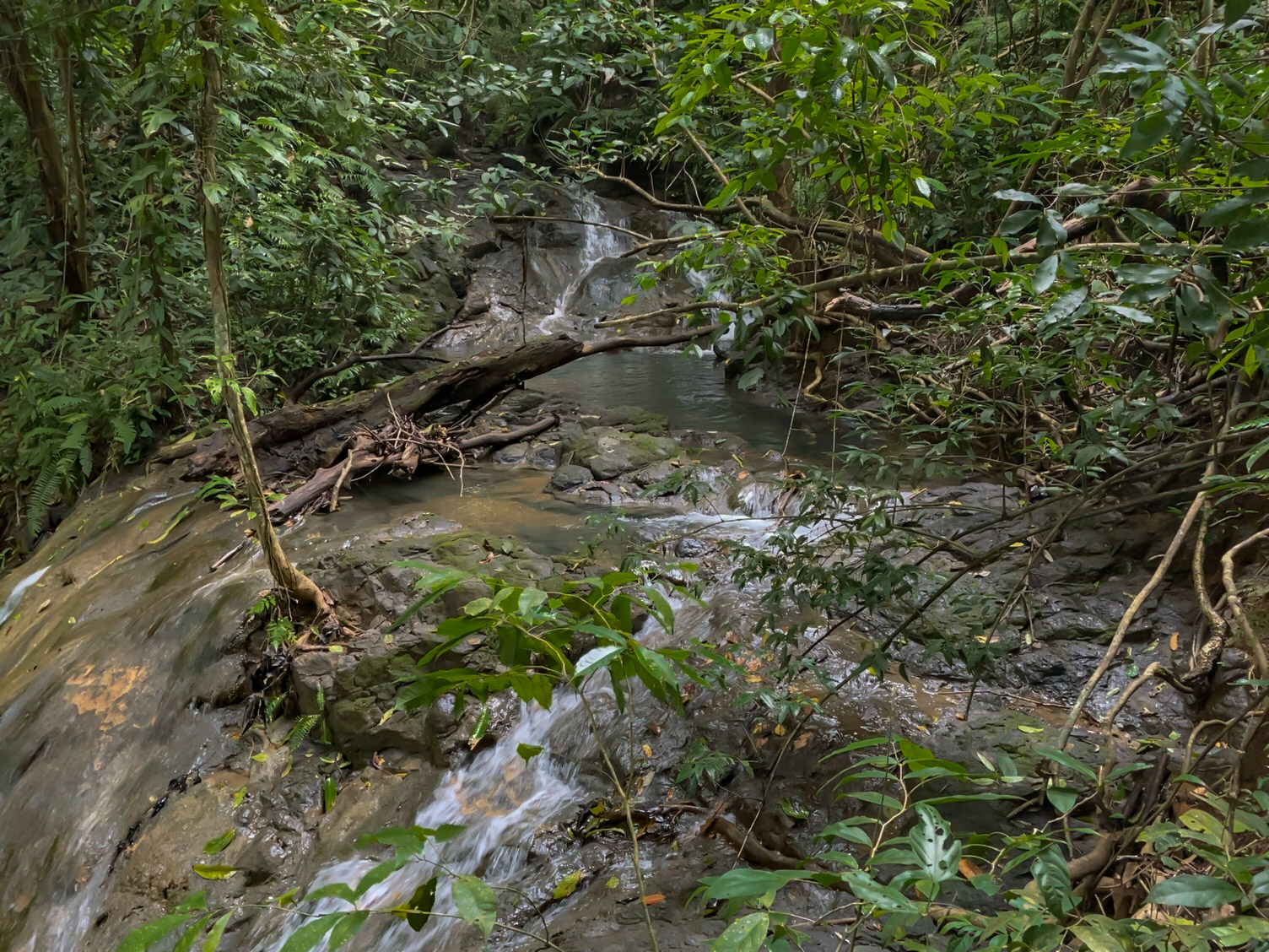 Las Delicias, Delicias, Puntarenas, CR, ,Land,For Sale,Las Delicias,1613556