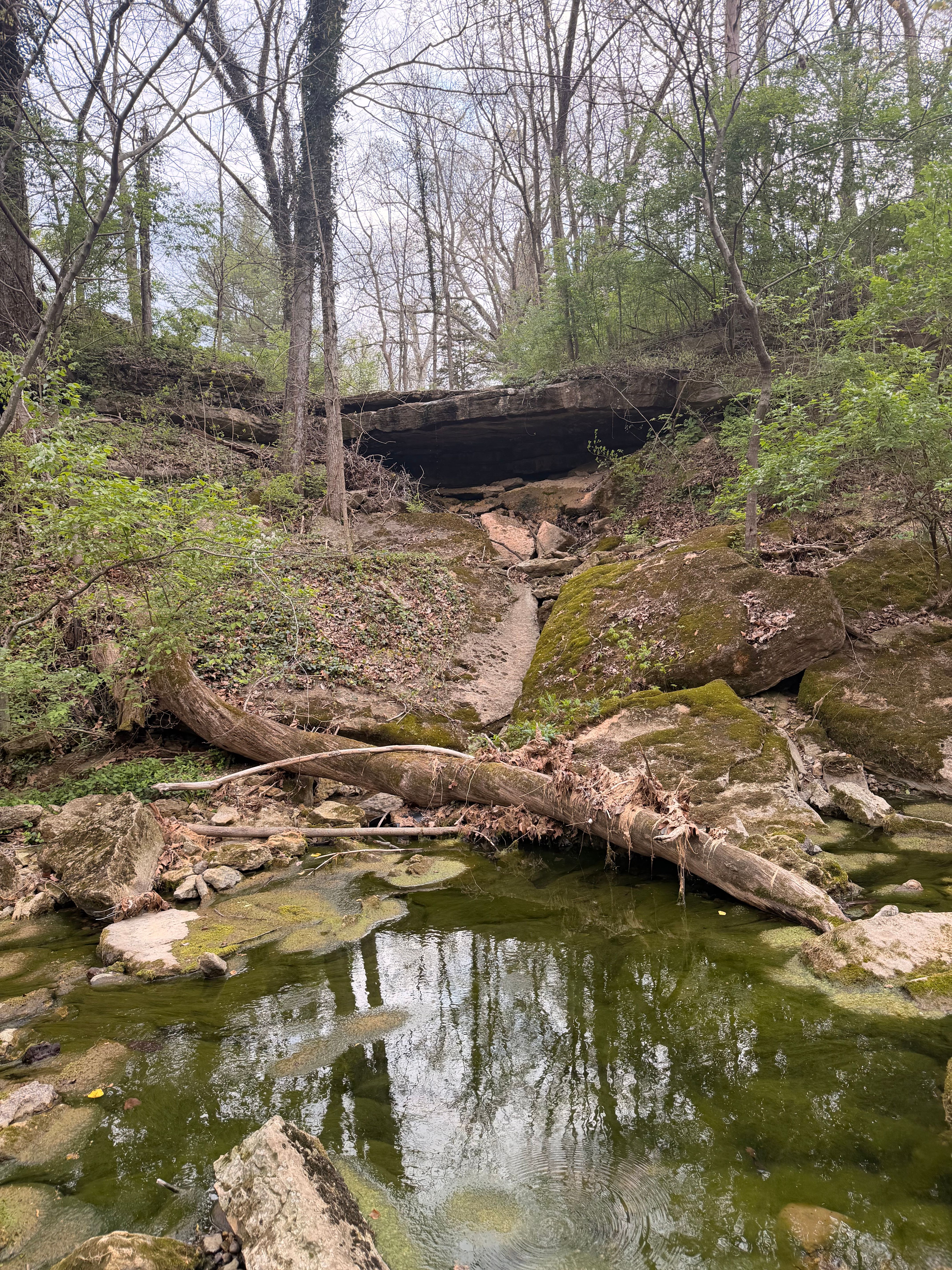  1574 Wales Run Road, Mount Washington, KY 40047 - 物件實景