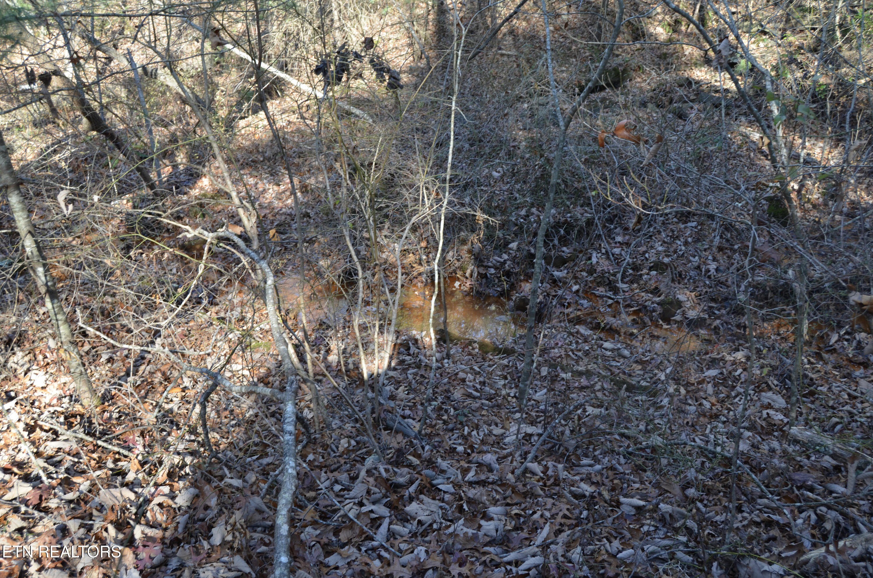 Crossville, Tennessee, 38555, United States, ,Land,For Sale,1978266