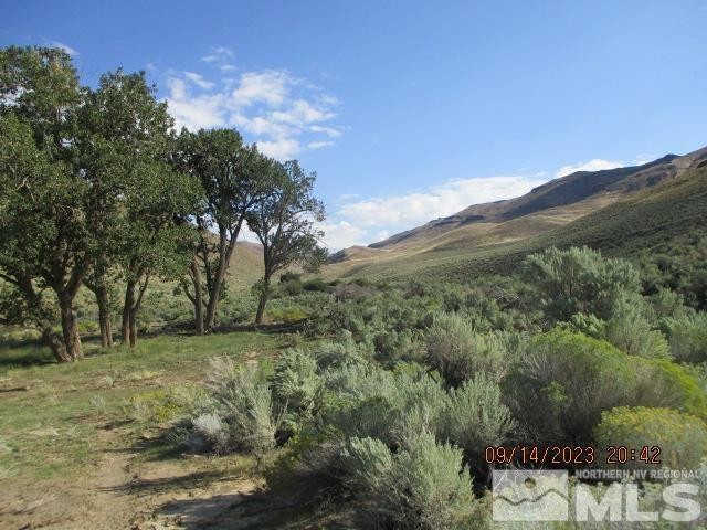 Orovada, Nevada, 89425, United States, ,Residential,For Sale,1860452