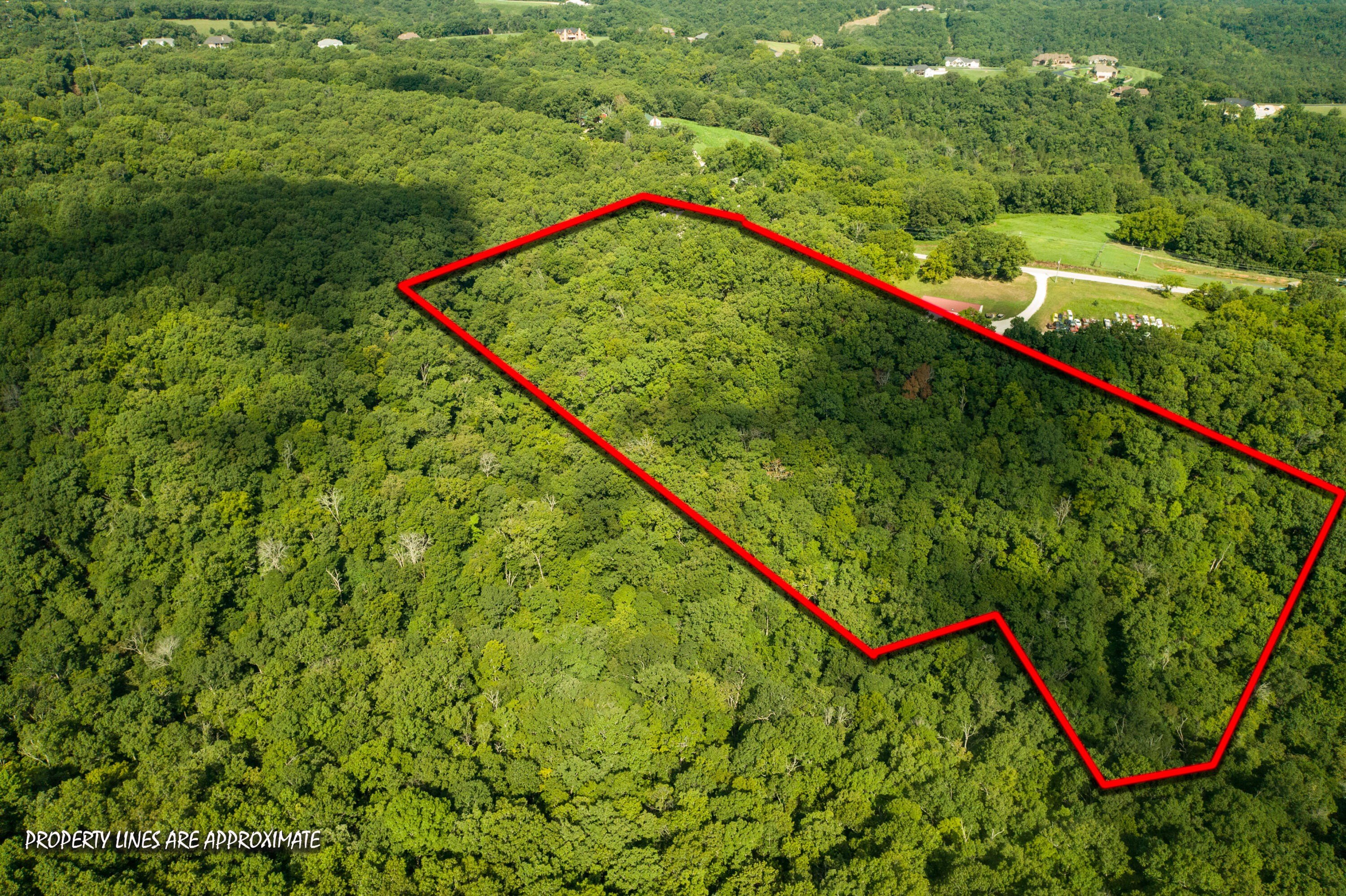 Walnut Shade, Missouri, 65771, United States, 6 Bedrooms Bedrooms, ,5 BathroomsBathrooms,Residential,For Sale,1975828